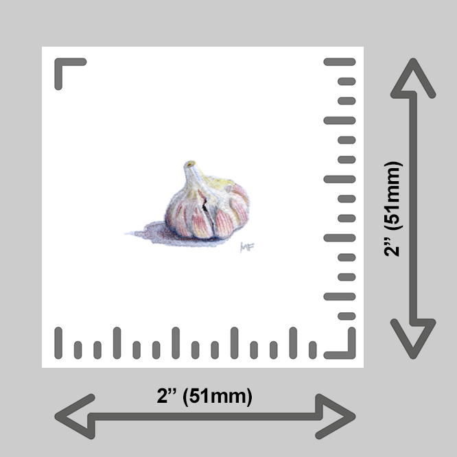 tiny-prints-25-garlic-bulb(ruler).png
