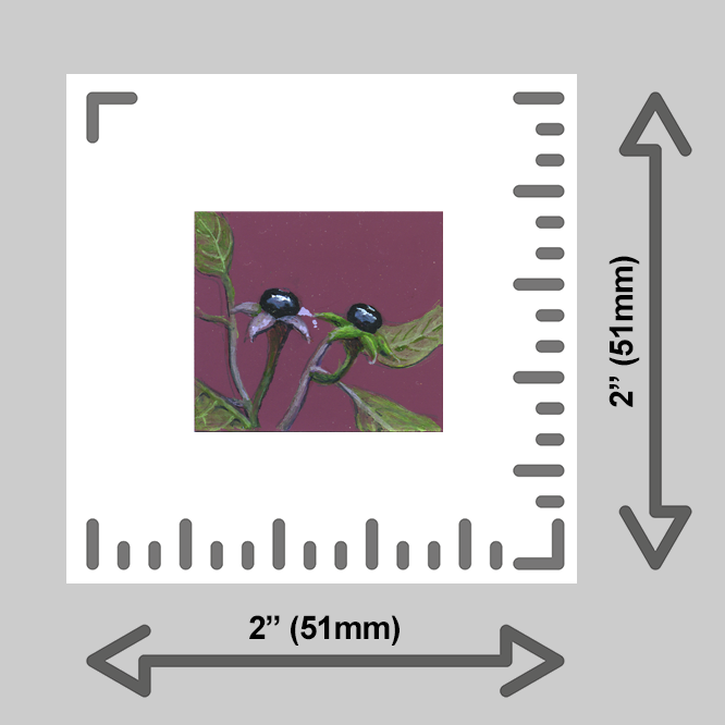 tiny-prints-25-belladonna-plant(ruler).png