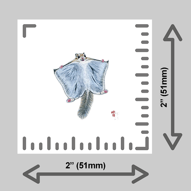 tiny-prints-25-flying-squirrel(ruler).png