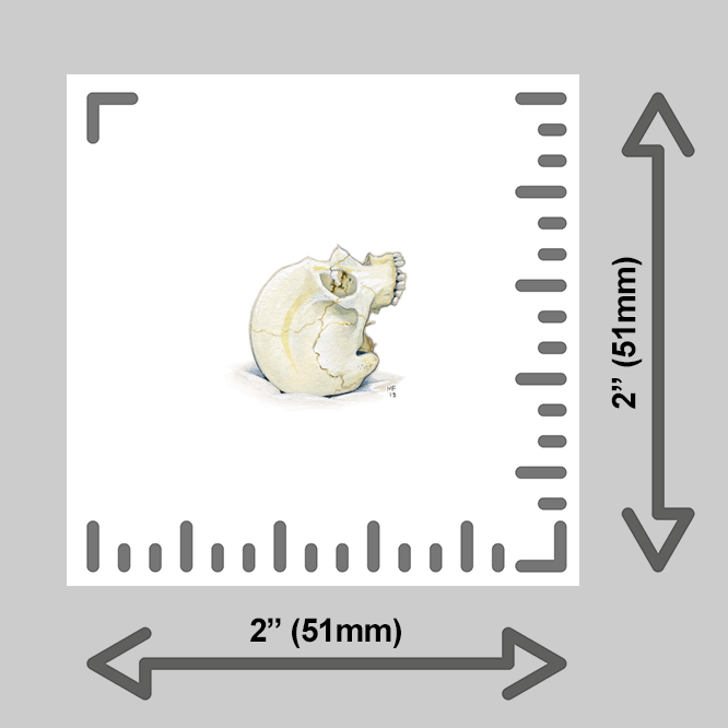 tiny-prints-25-face-up-skull(ruler).png