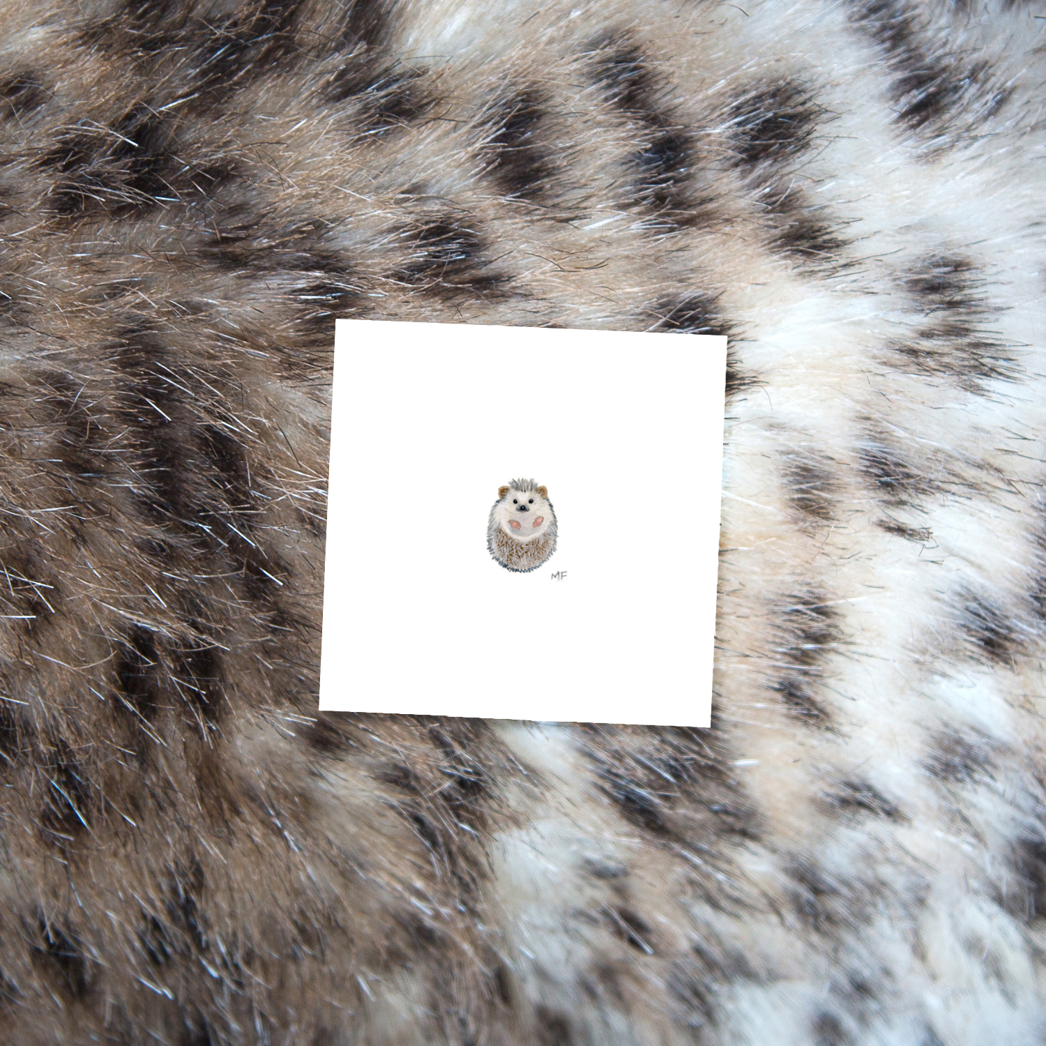 ANIMALS4-curled-hedgehog-mockup.png