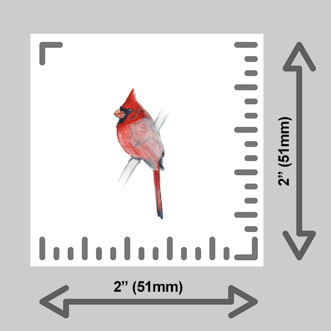 tiny-prints-25-male-cardinal(ruler).png