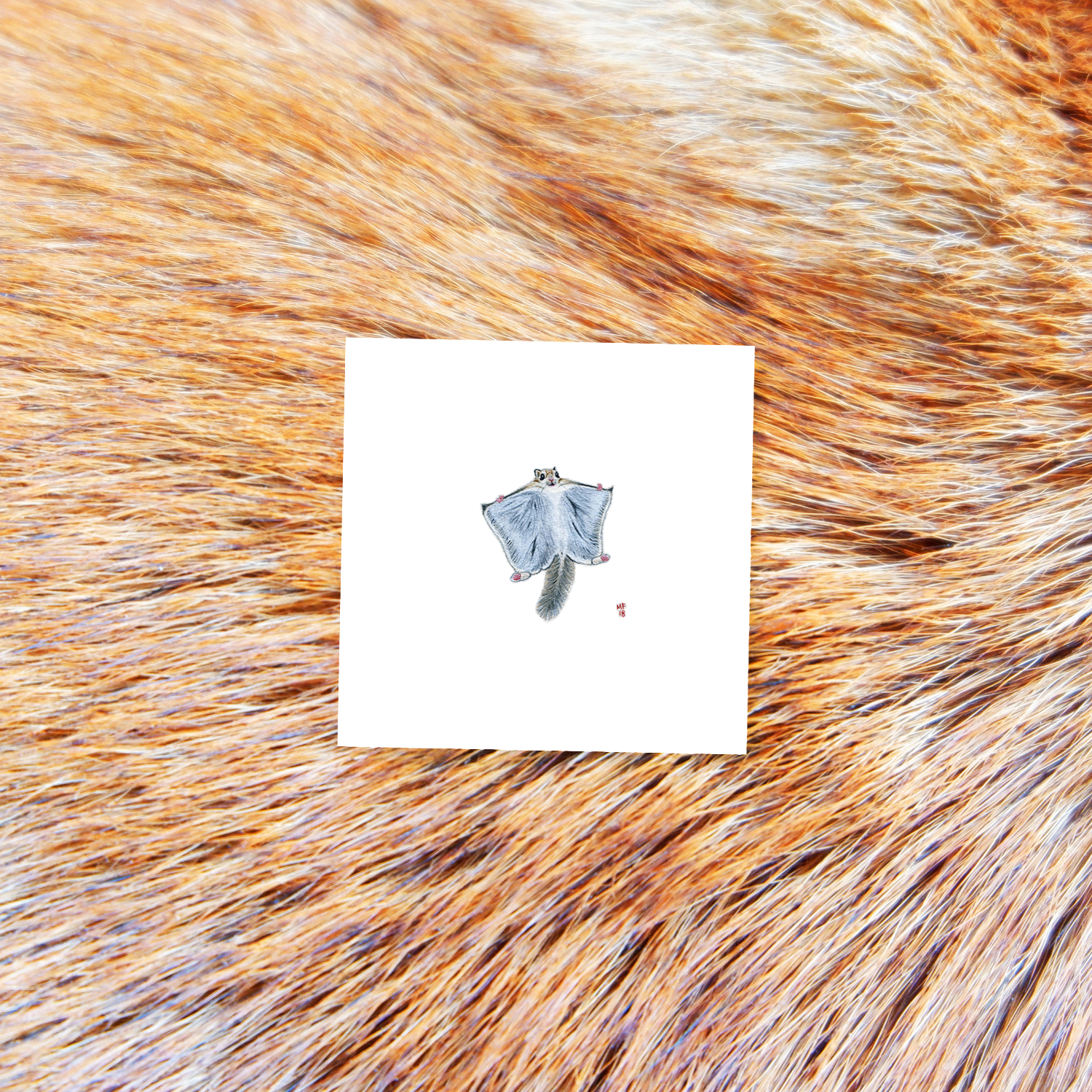 ANIMALS2-flying-squirrel-mockup.png