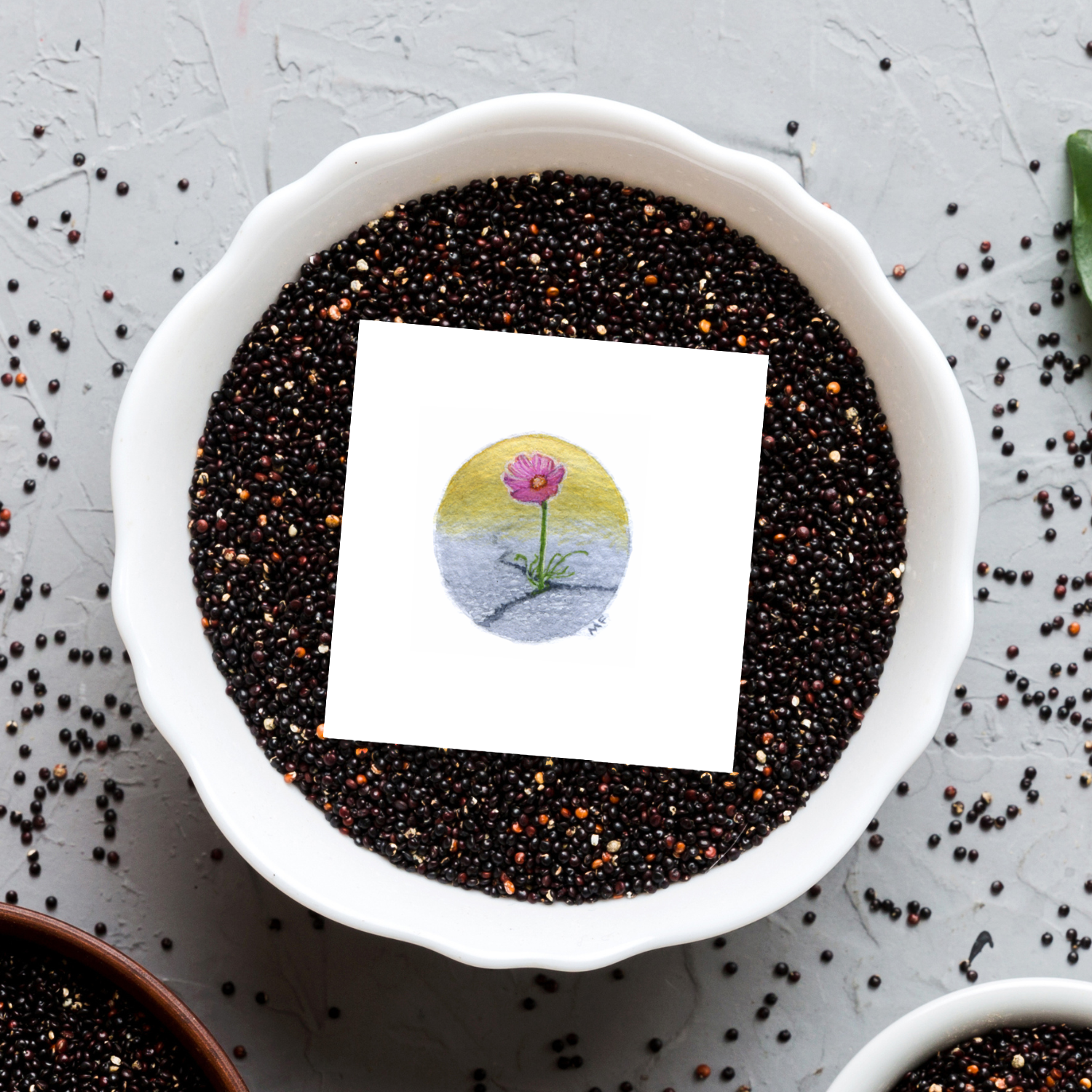 FLORA2-flower-in-concrete-mockup.png