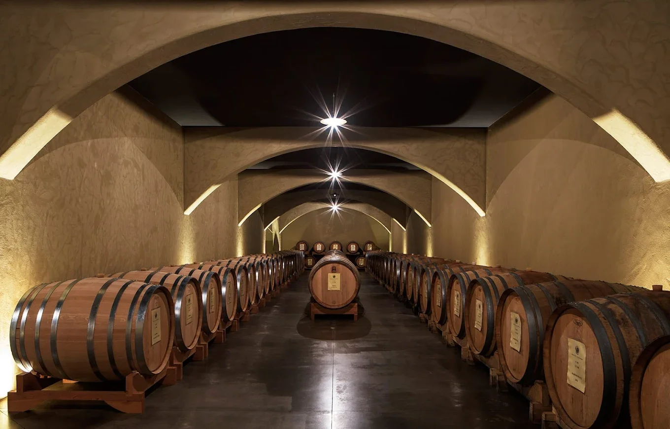 bottaia e magazzino (13).webp