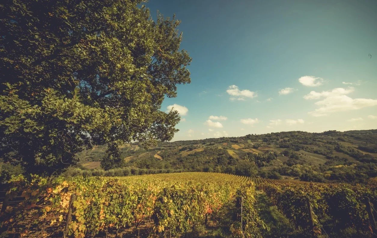 sostenibilita-ambientale.jpg