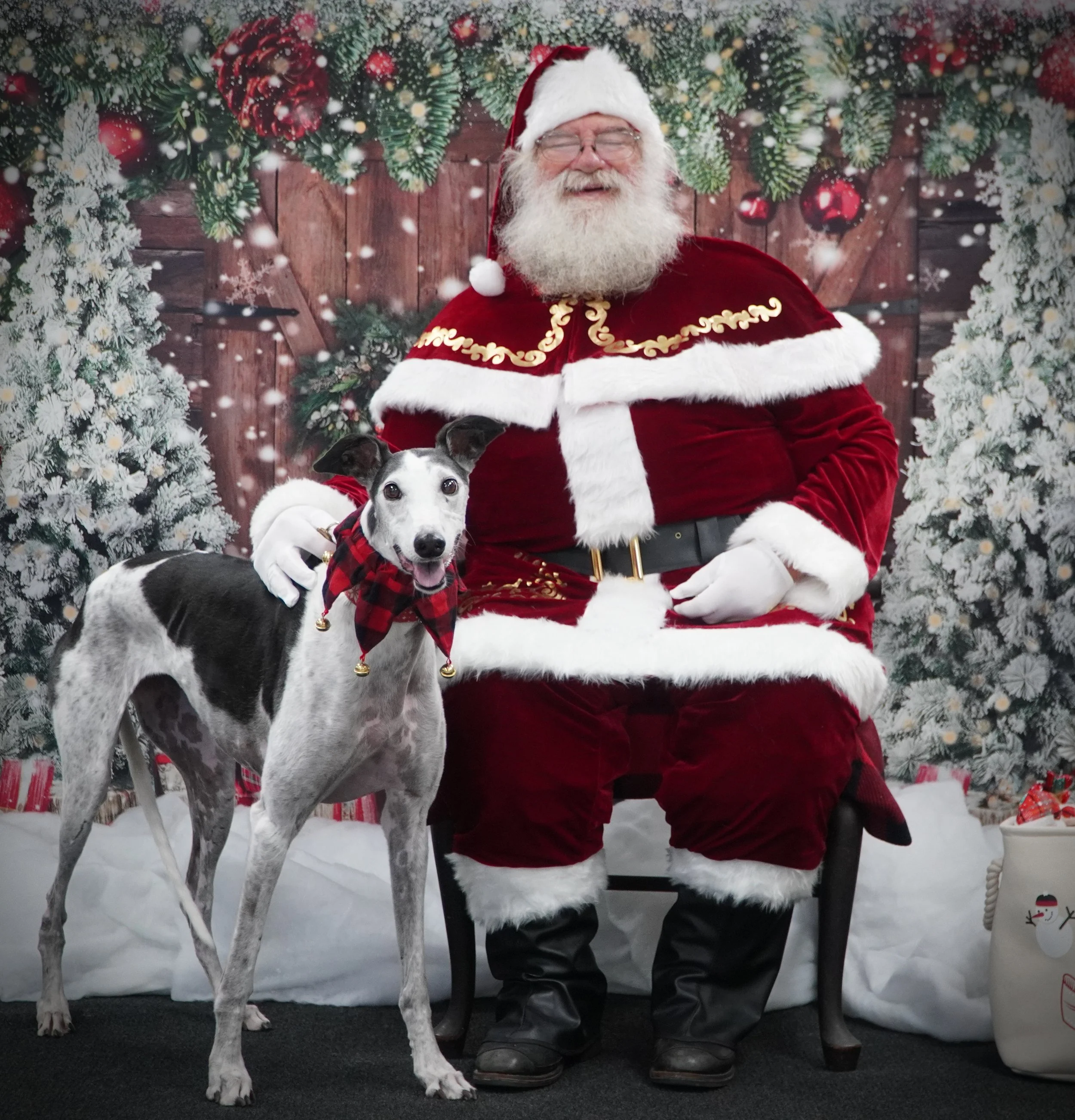 Luci Santa 2024.JPG