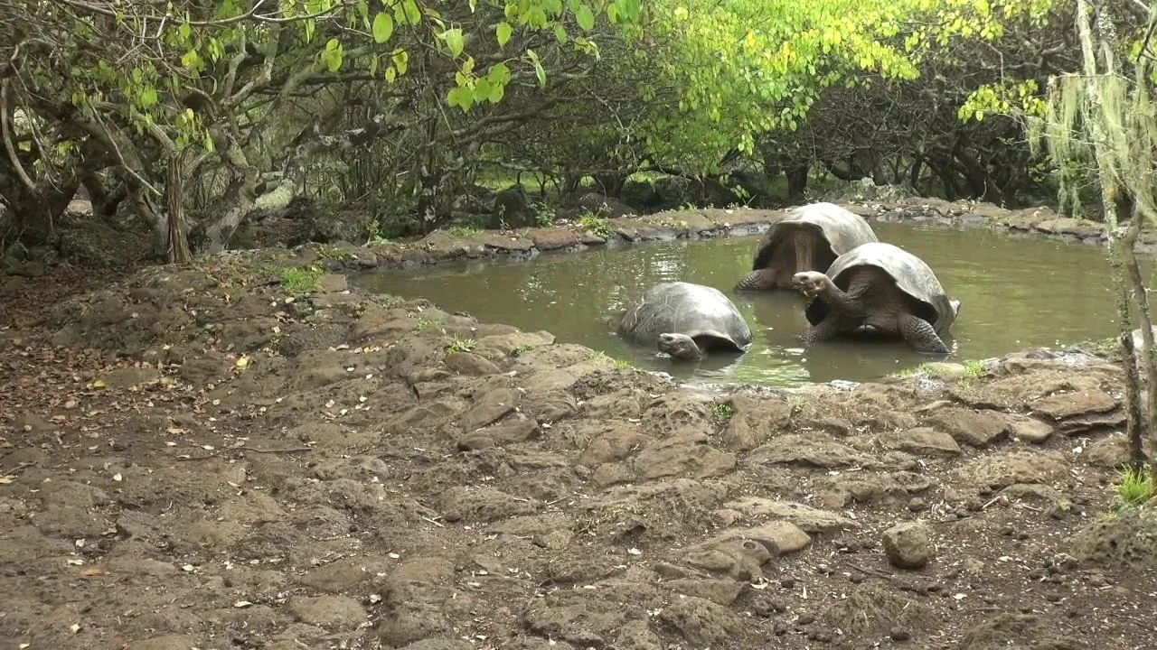 Jatun Sacha Biological Reserve- Galápagos Islands