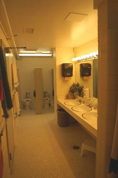 Before: Vanity and Water Closet Area