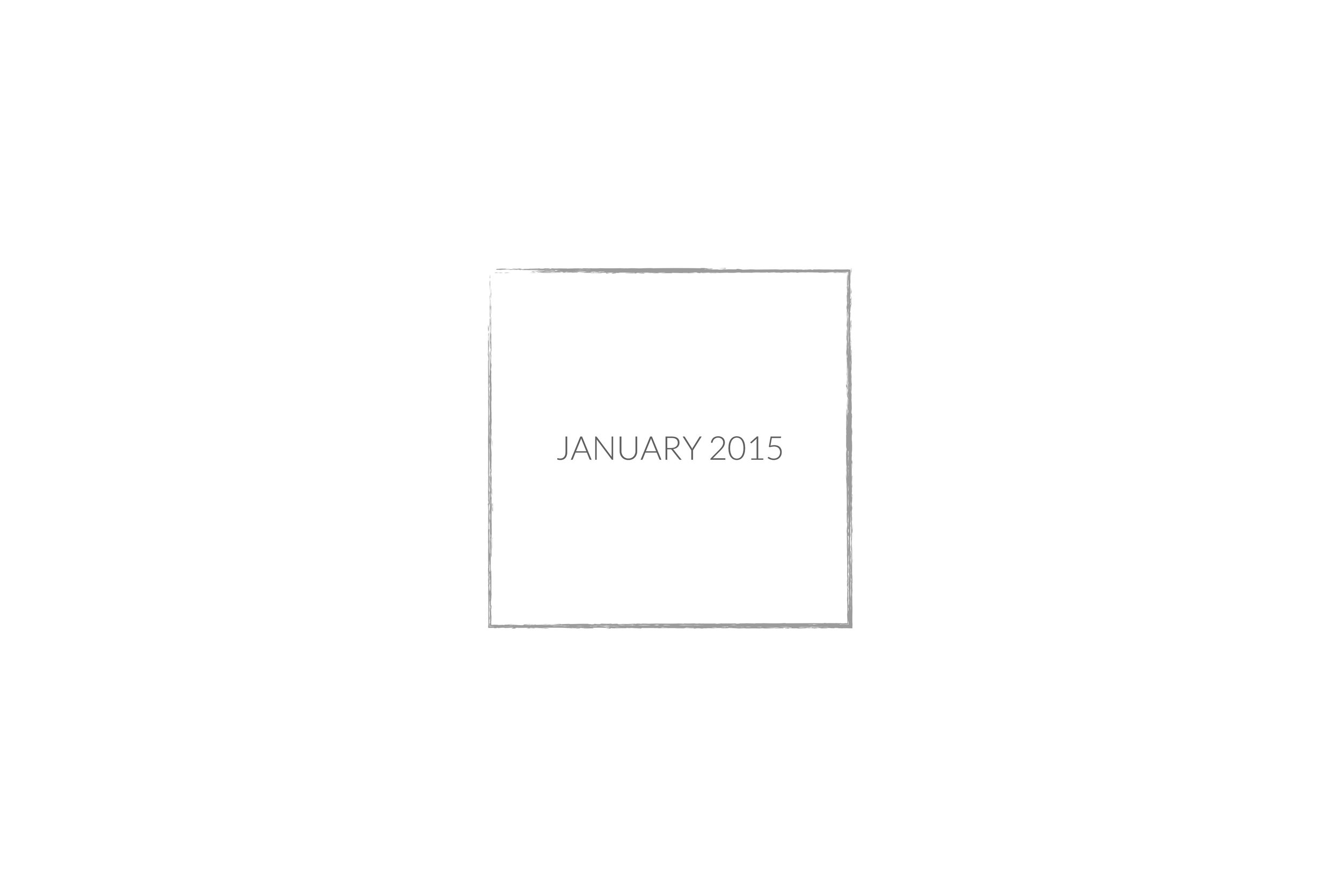 January 2015 slide.jpg