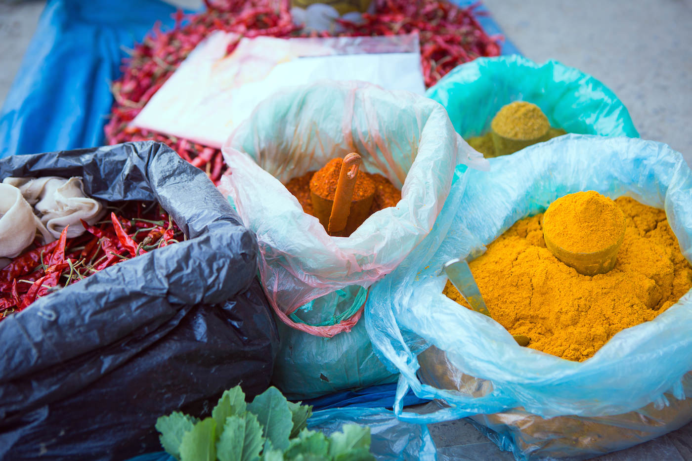 Bijeta Chandra-512.jpg