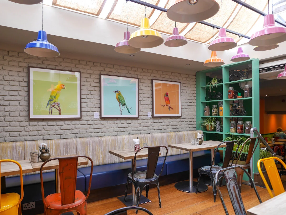 Birds on mezzanine.jpg