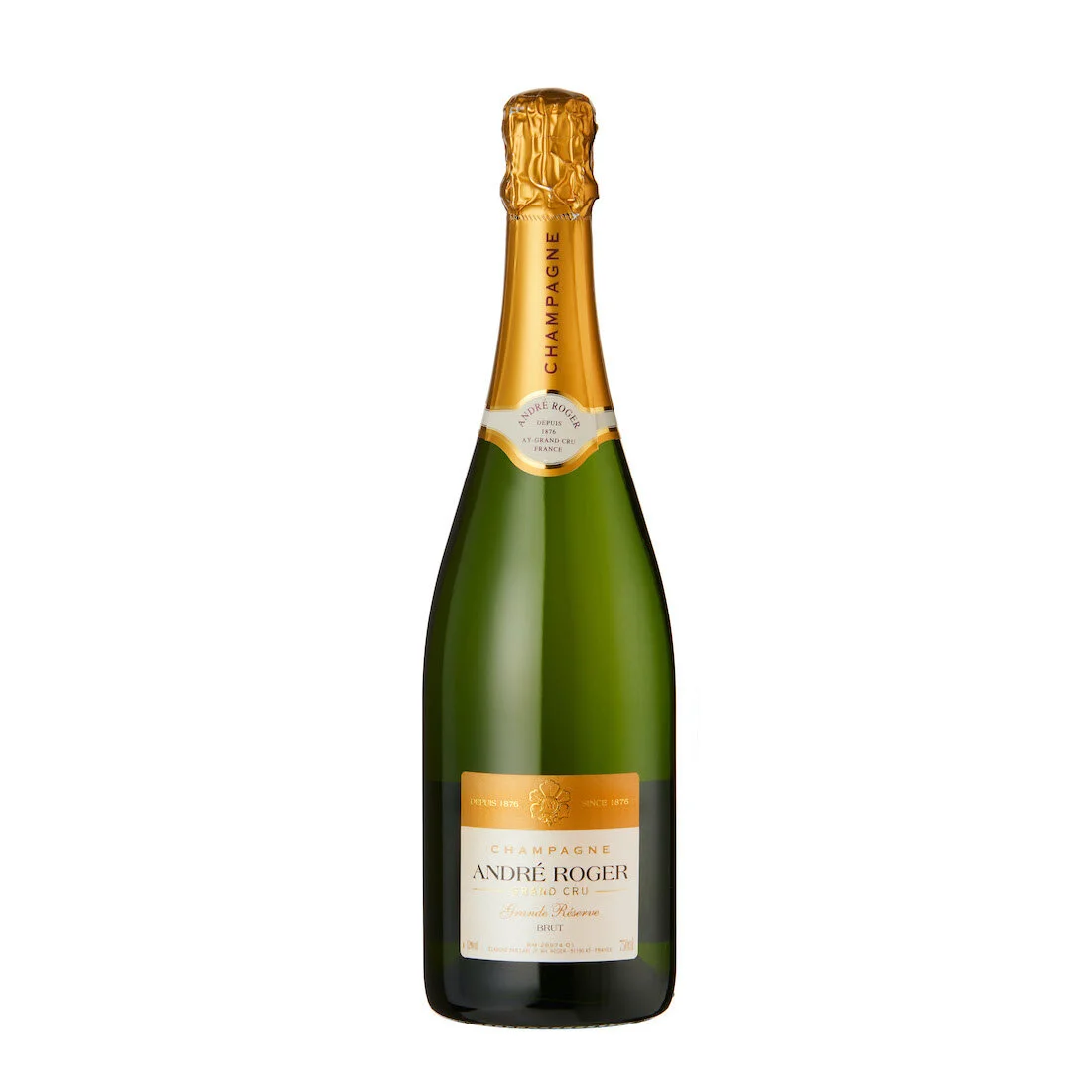 ANDRE ROGER CHAMP copy.jpg