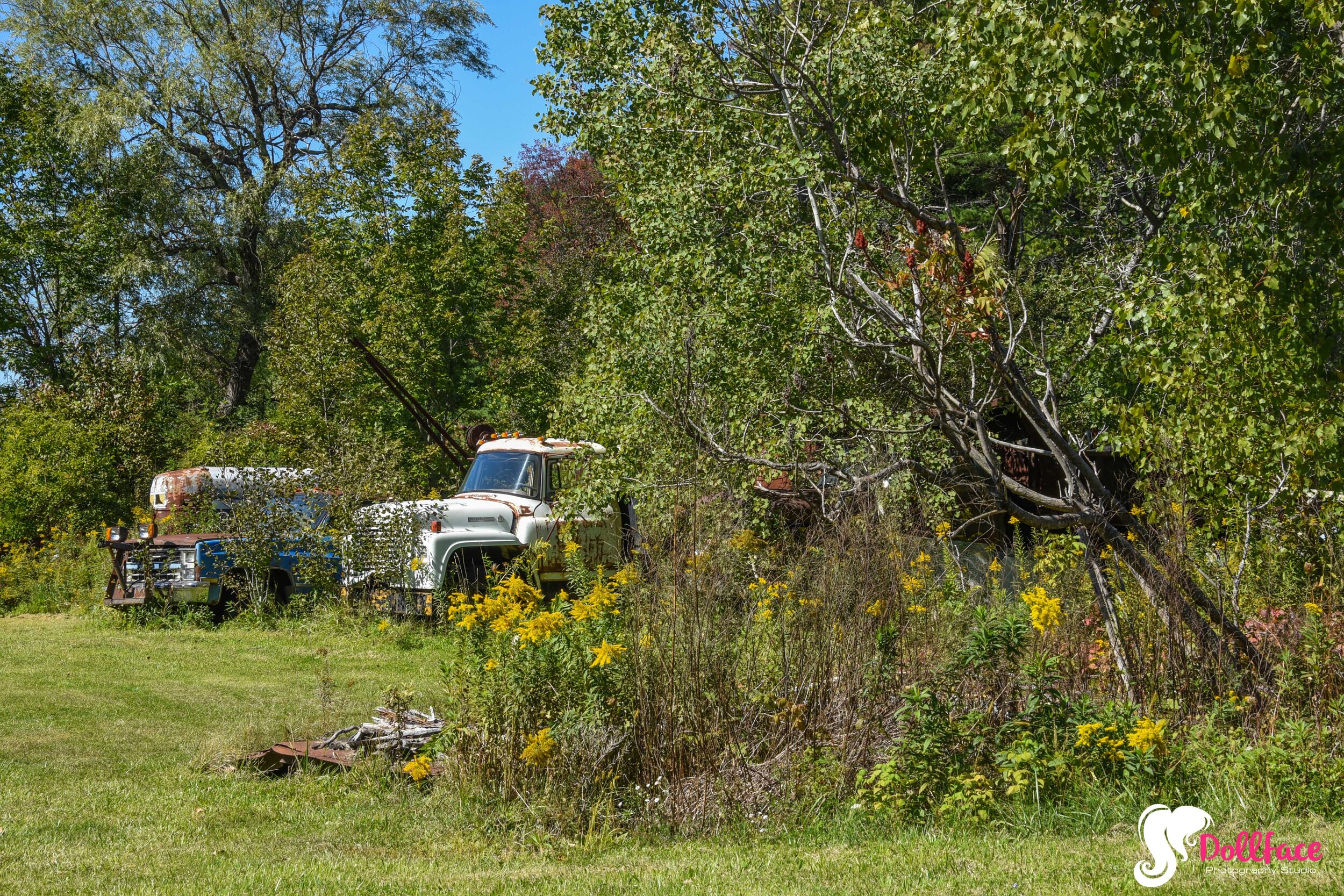 DSC_8116.jpg