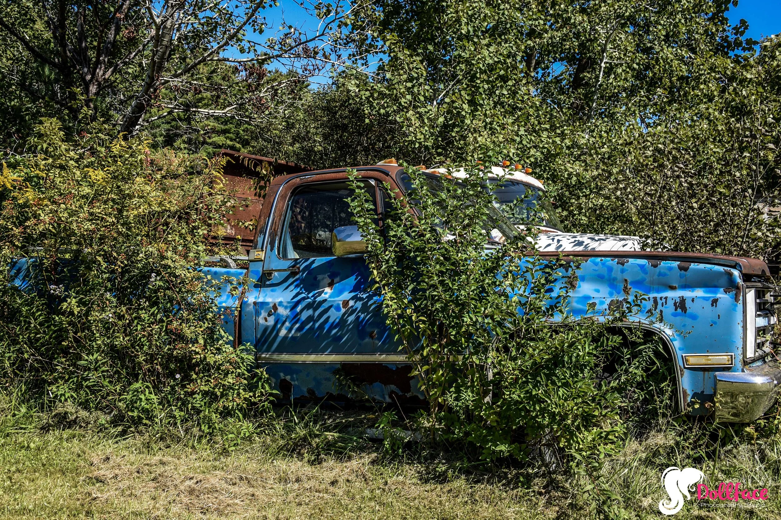 DSC_8127.jpg