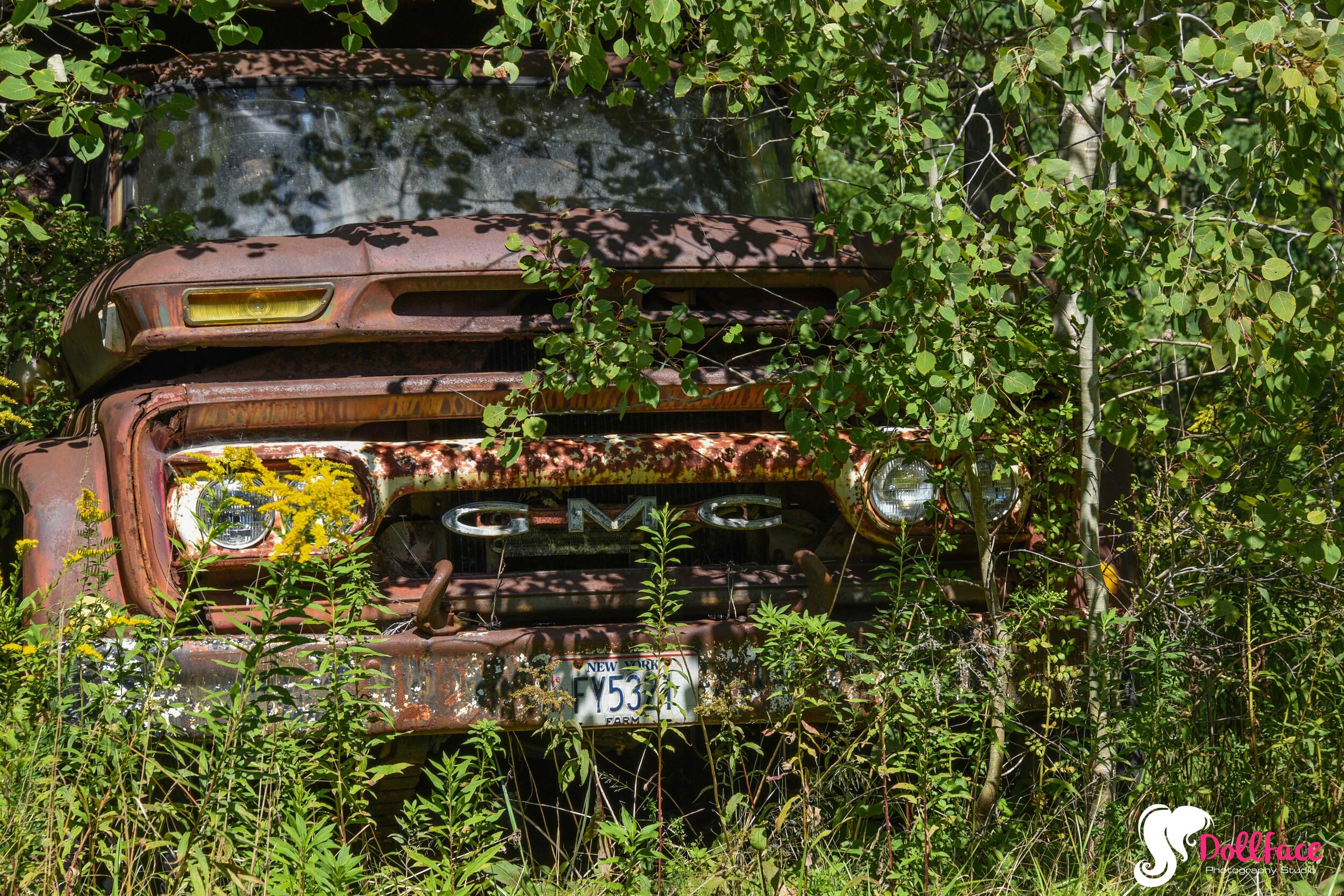 DSC_8132.jpg