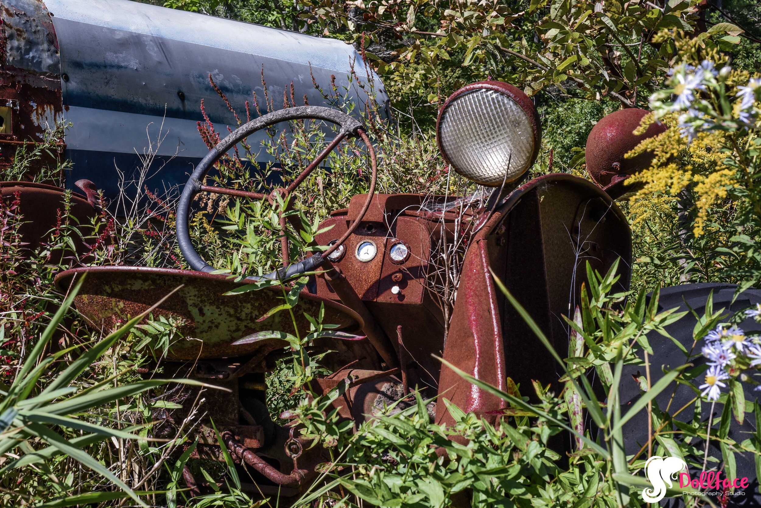 DSC_8134.jpg