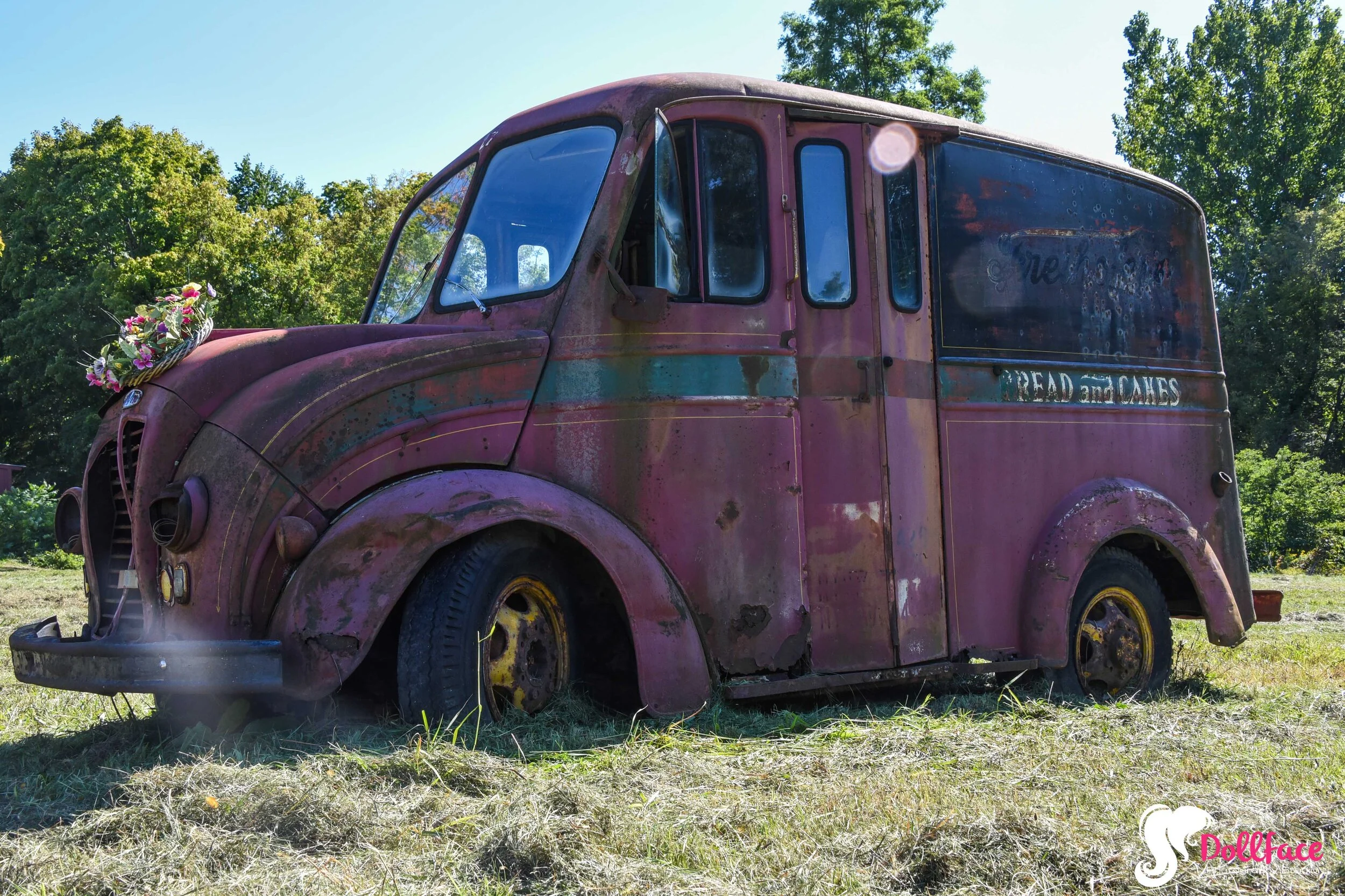DSC_8155.jpg
