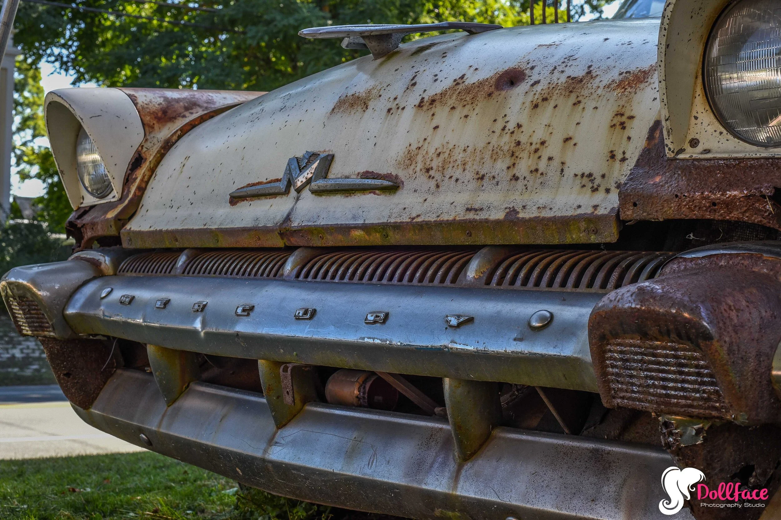 DSC_8172.jpg