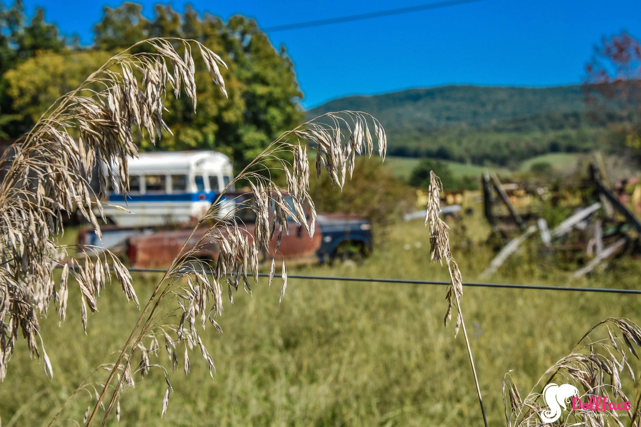 DSC_8235.jpg