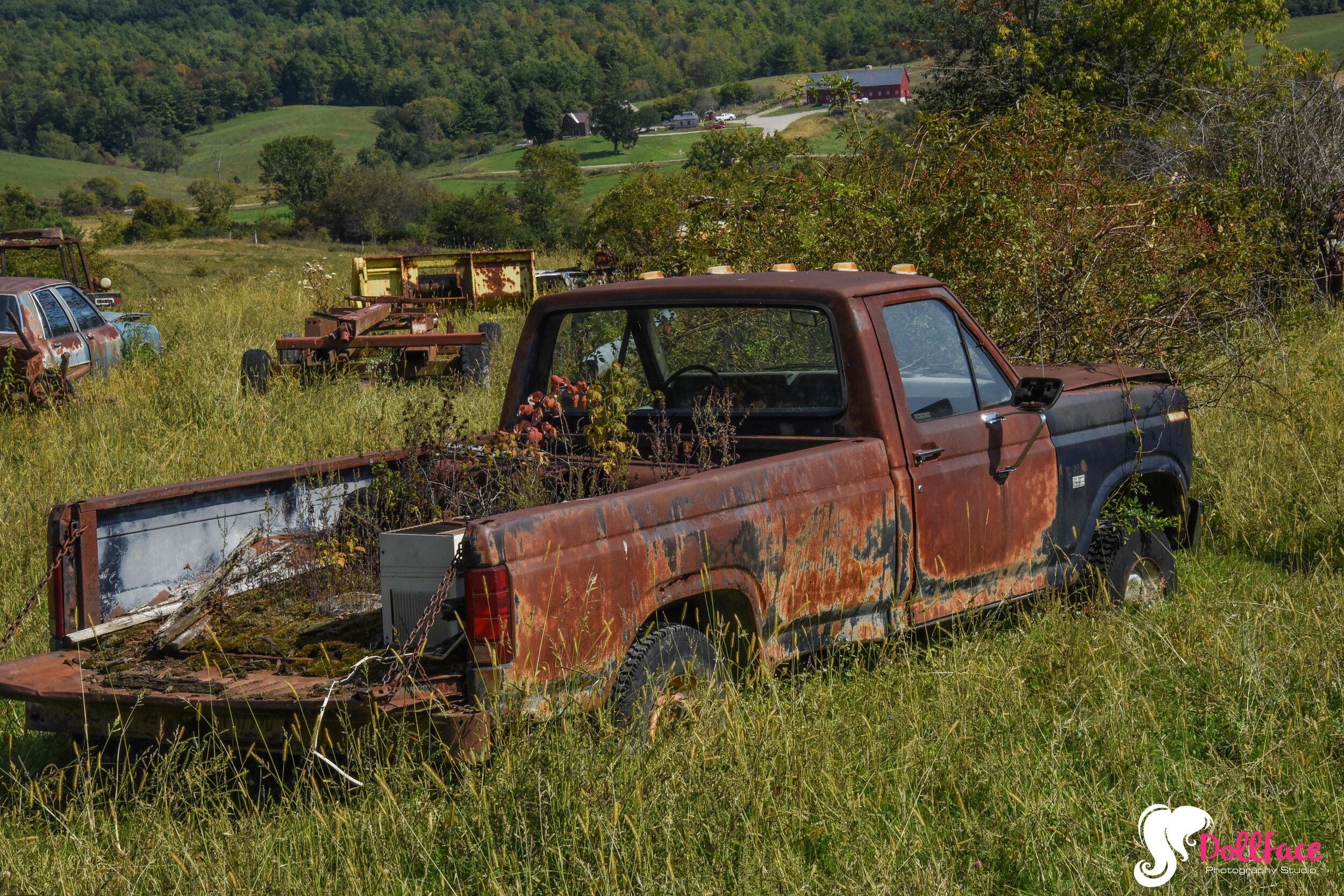 DSC_8247.jpg
