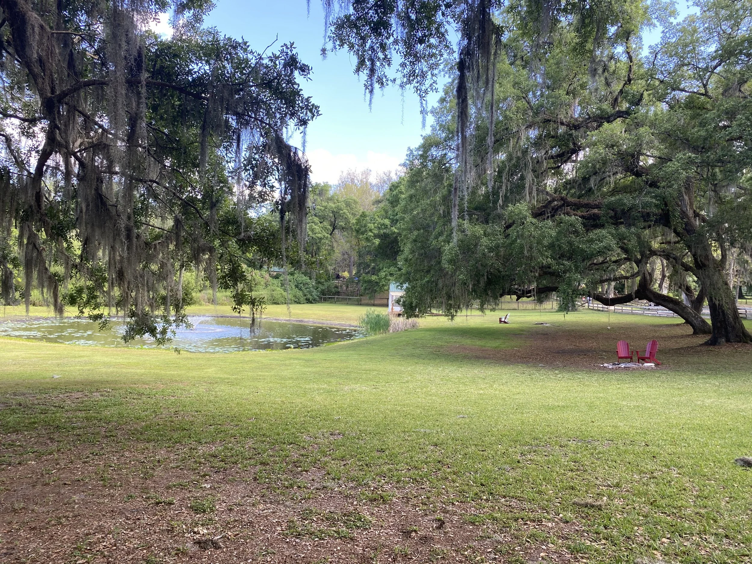 Ocala Airbnb