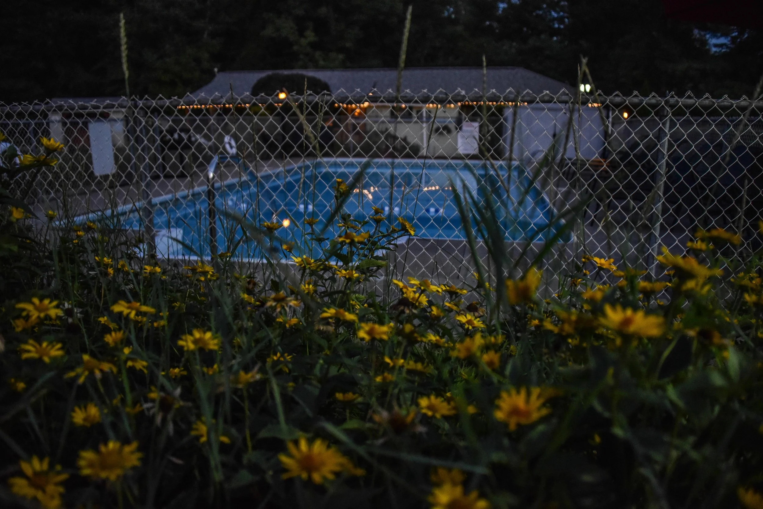 DSC_4759.jpg