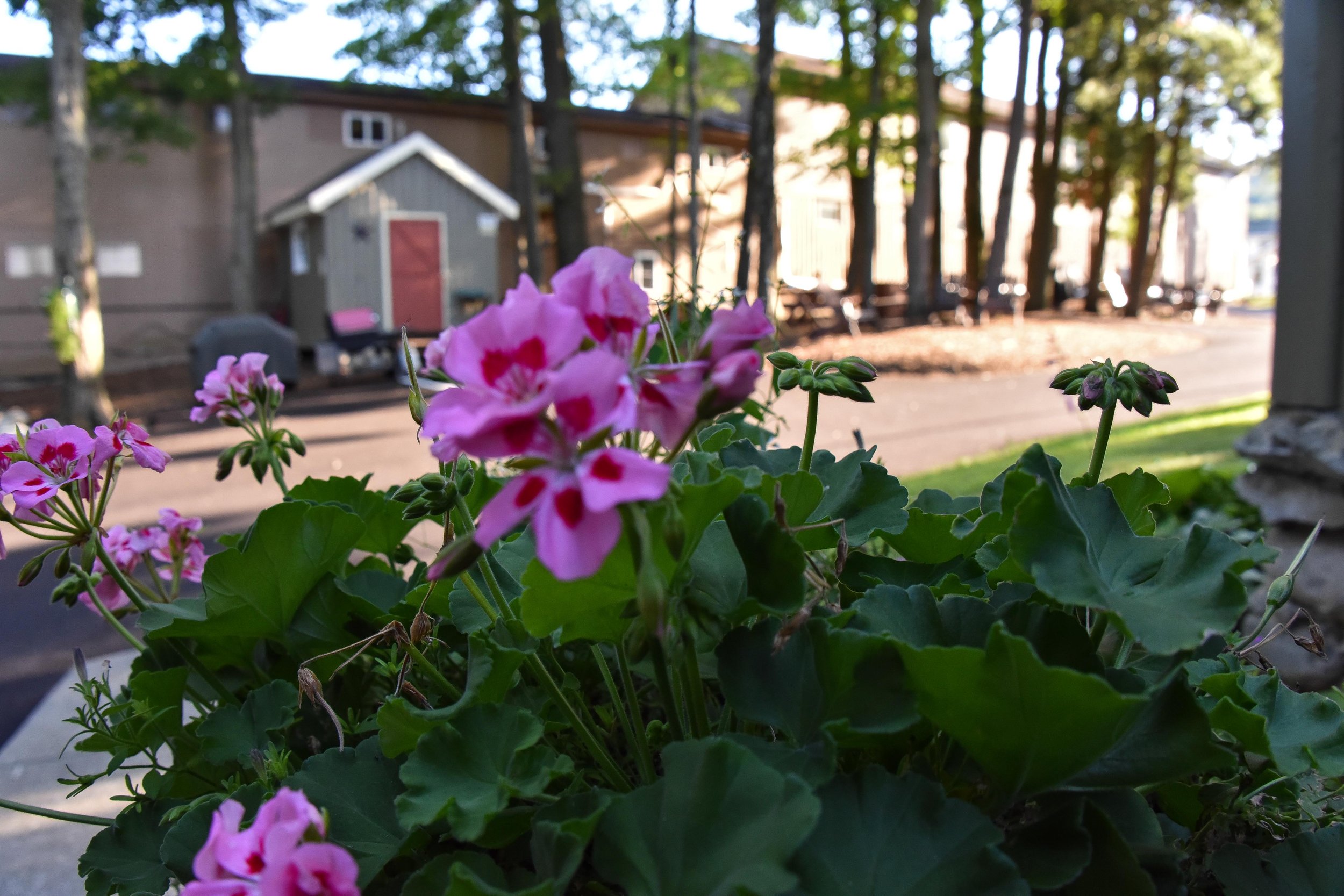 DSC_4291.jpg