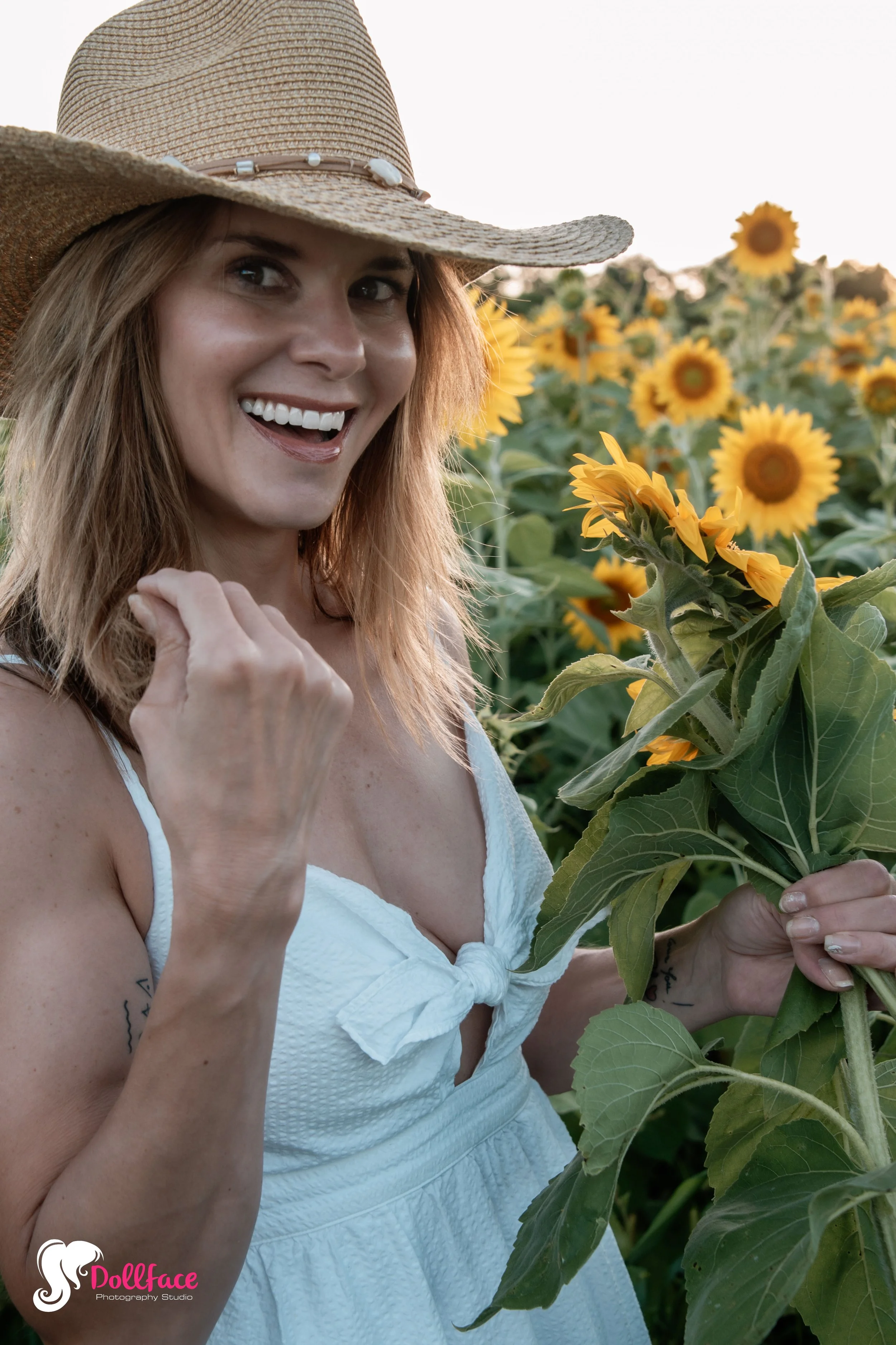 sunflower-3.jpg