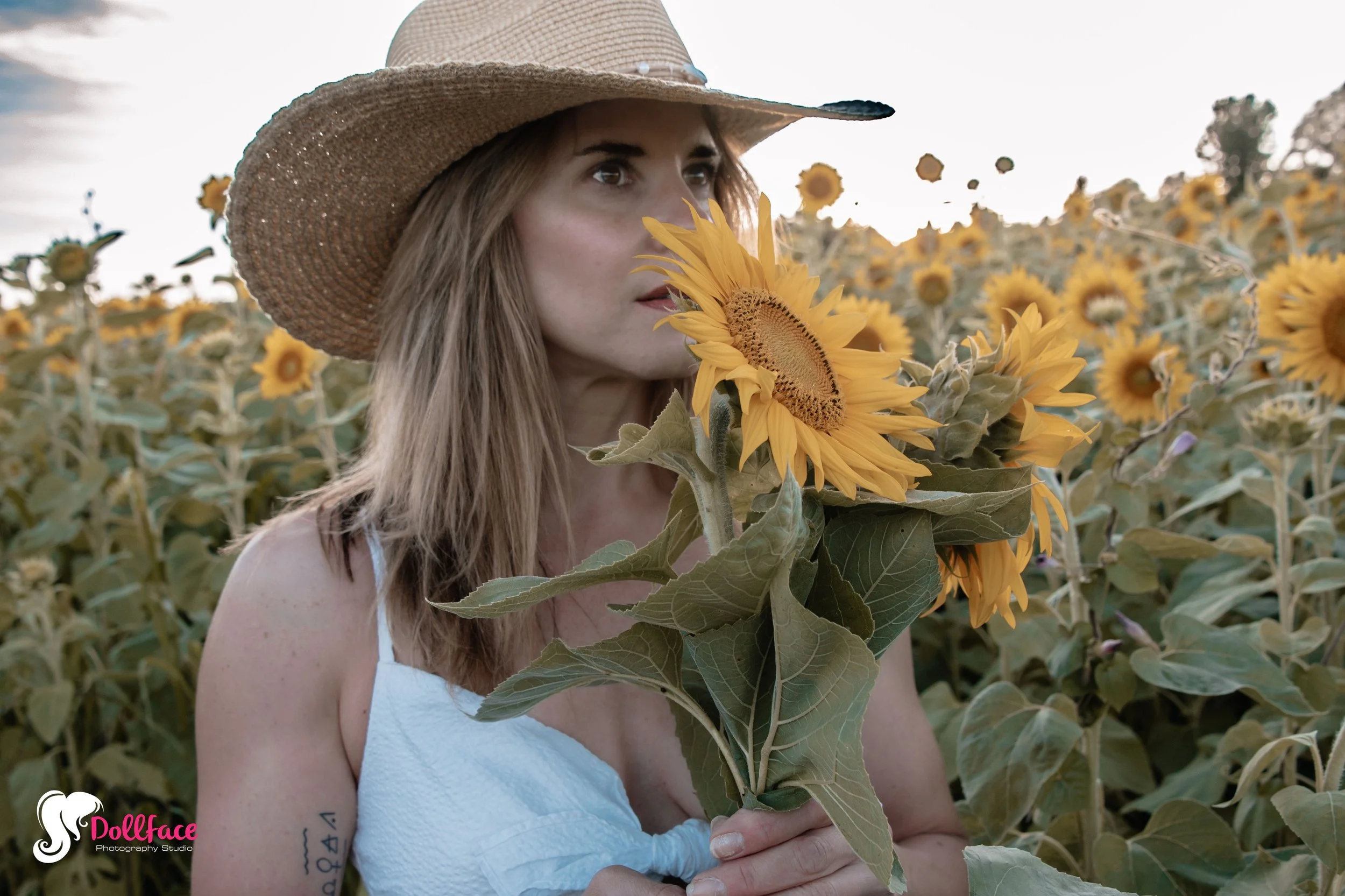 sunflower-7.jpg