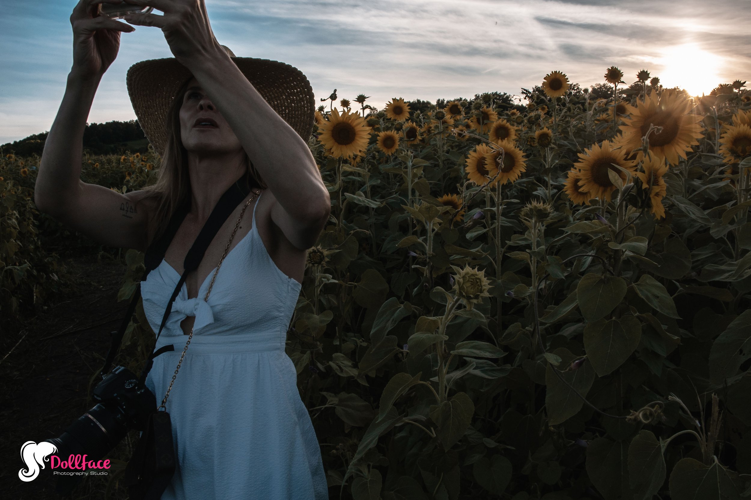 sunflower-25.jpg