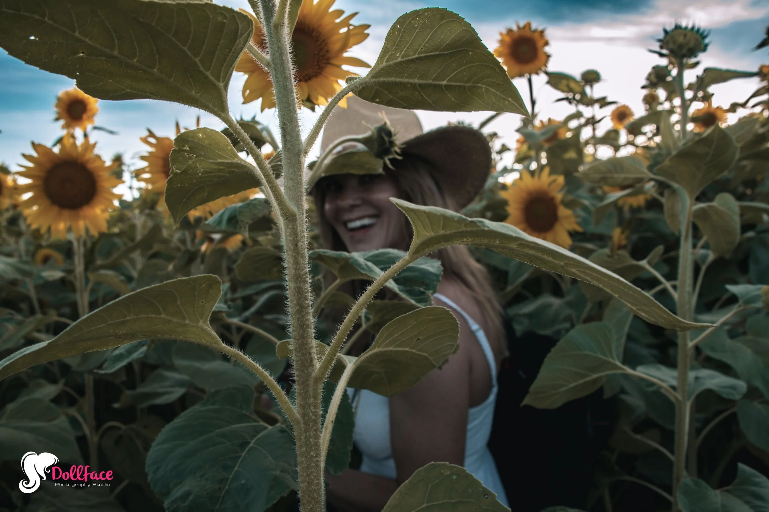 sunflower-29.jpg