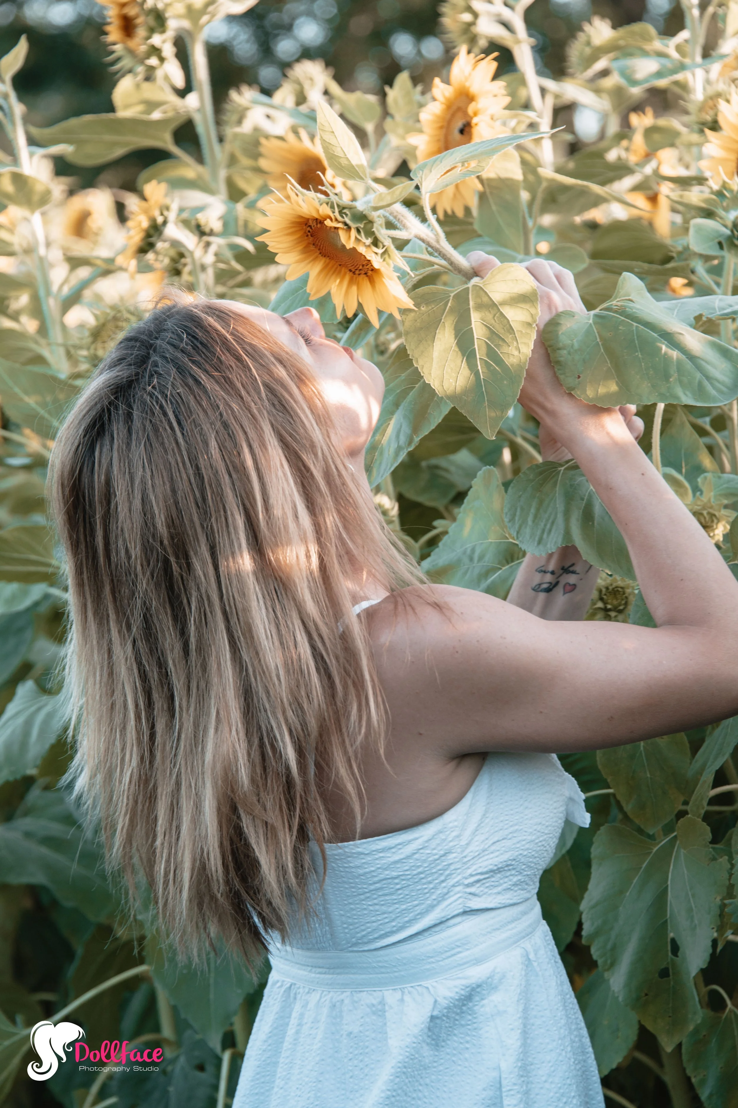 sunflower-32.jpg