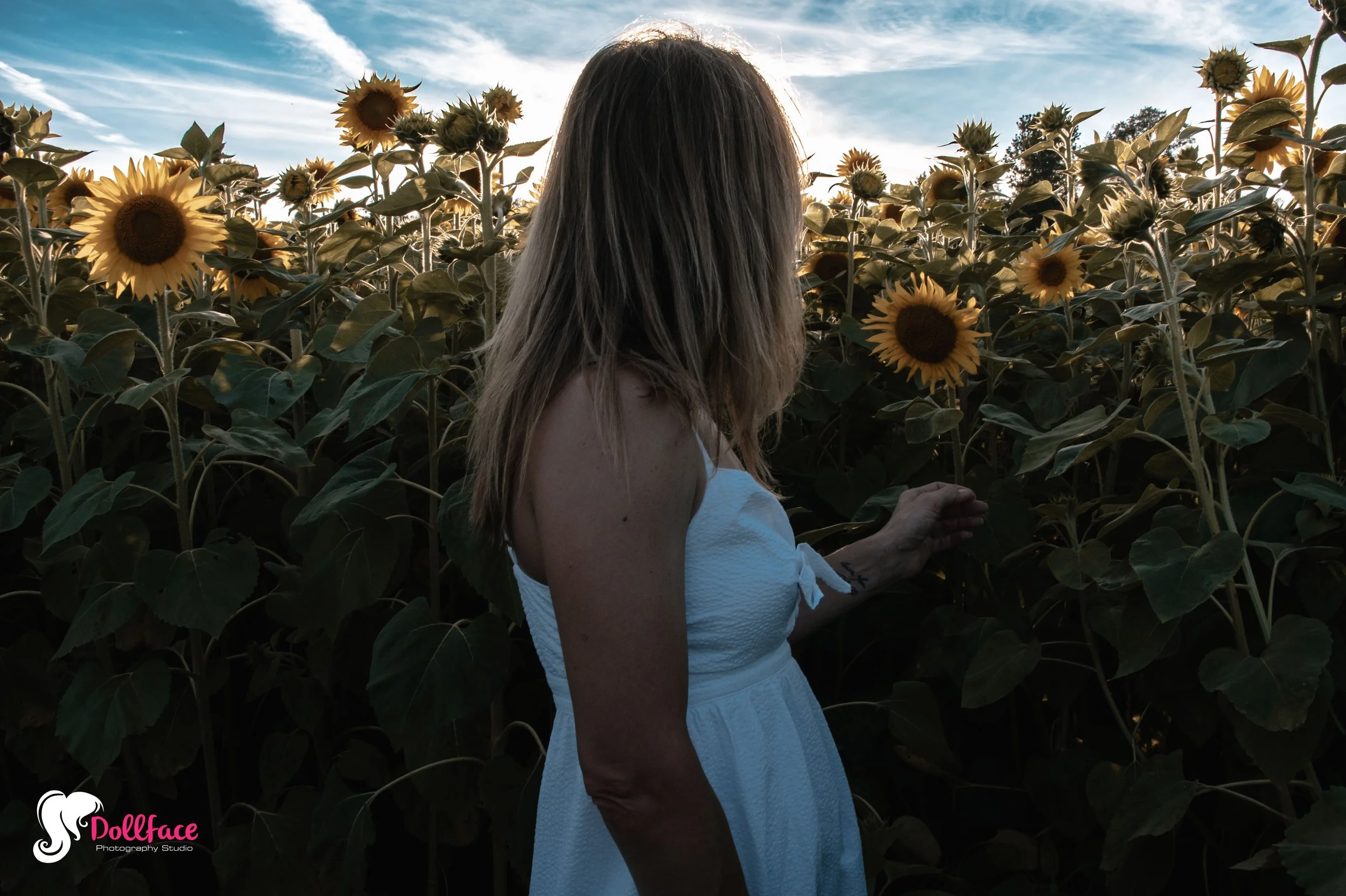 sunflower-37.jpg