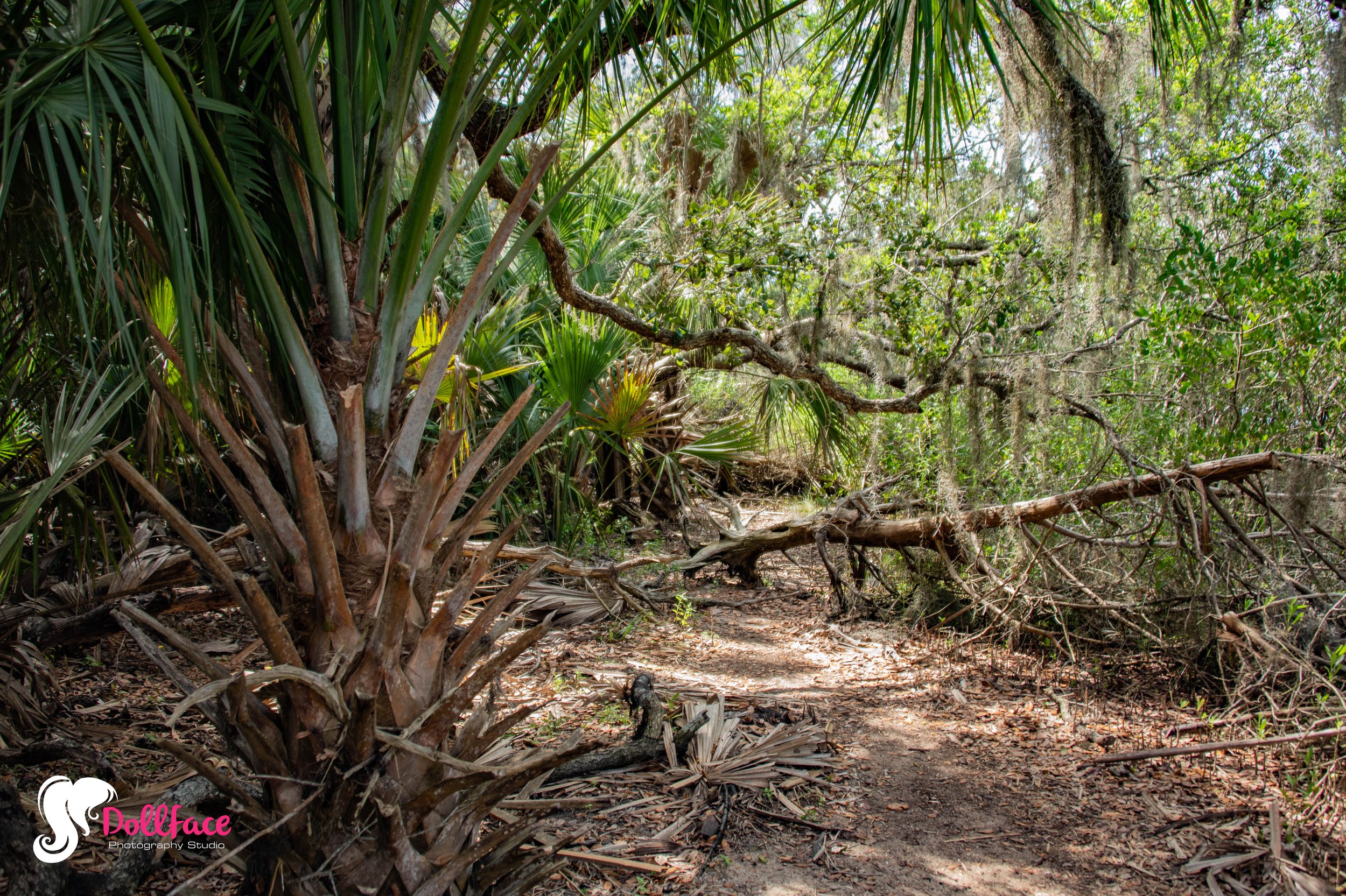 washington oaks gardens state park