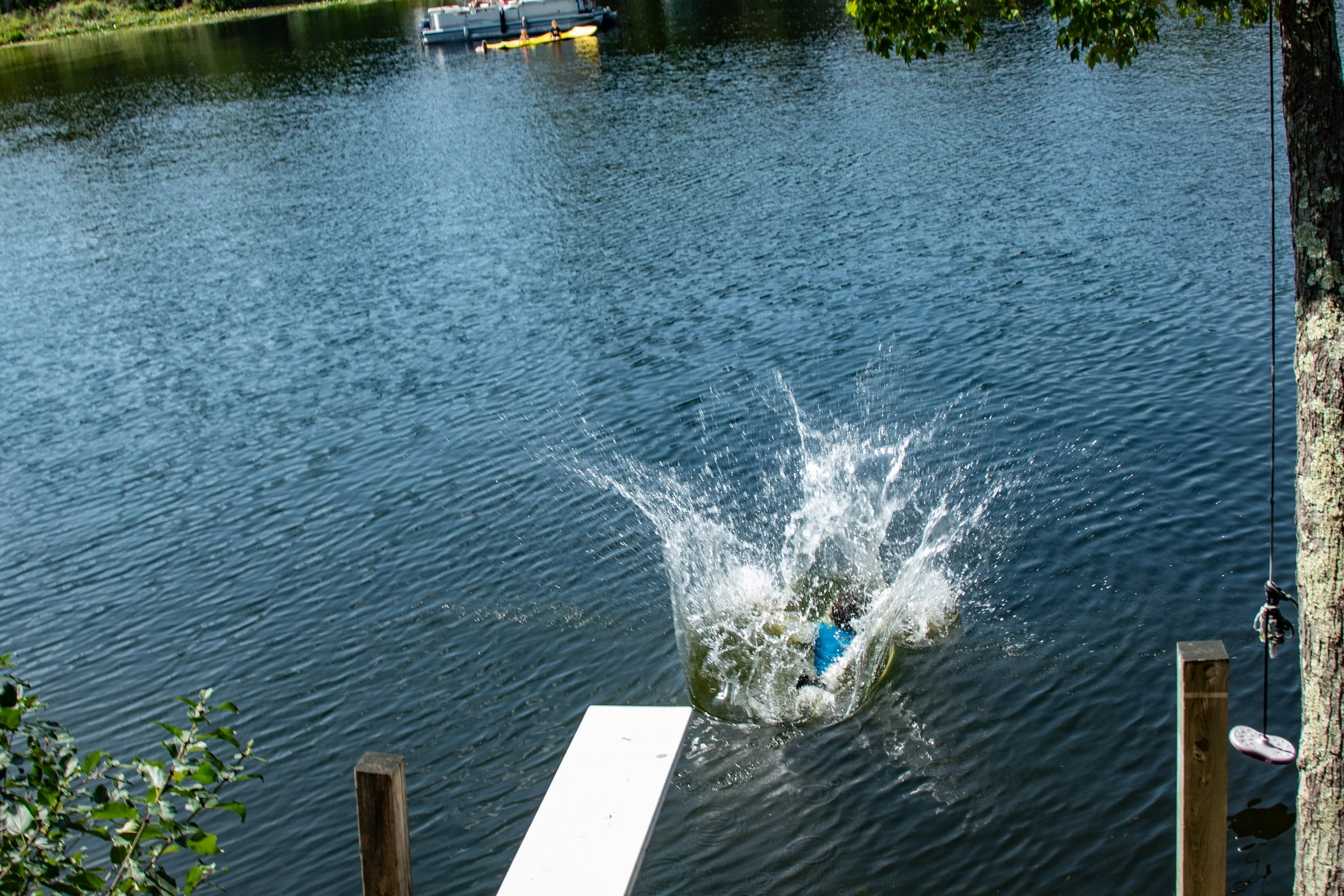 Belly Flop L-225.jpg