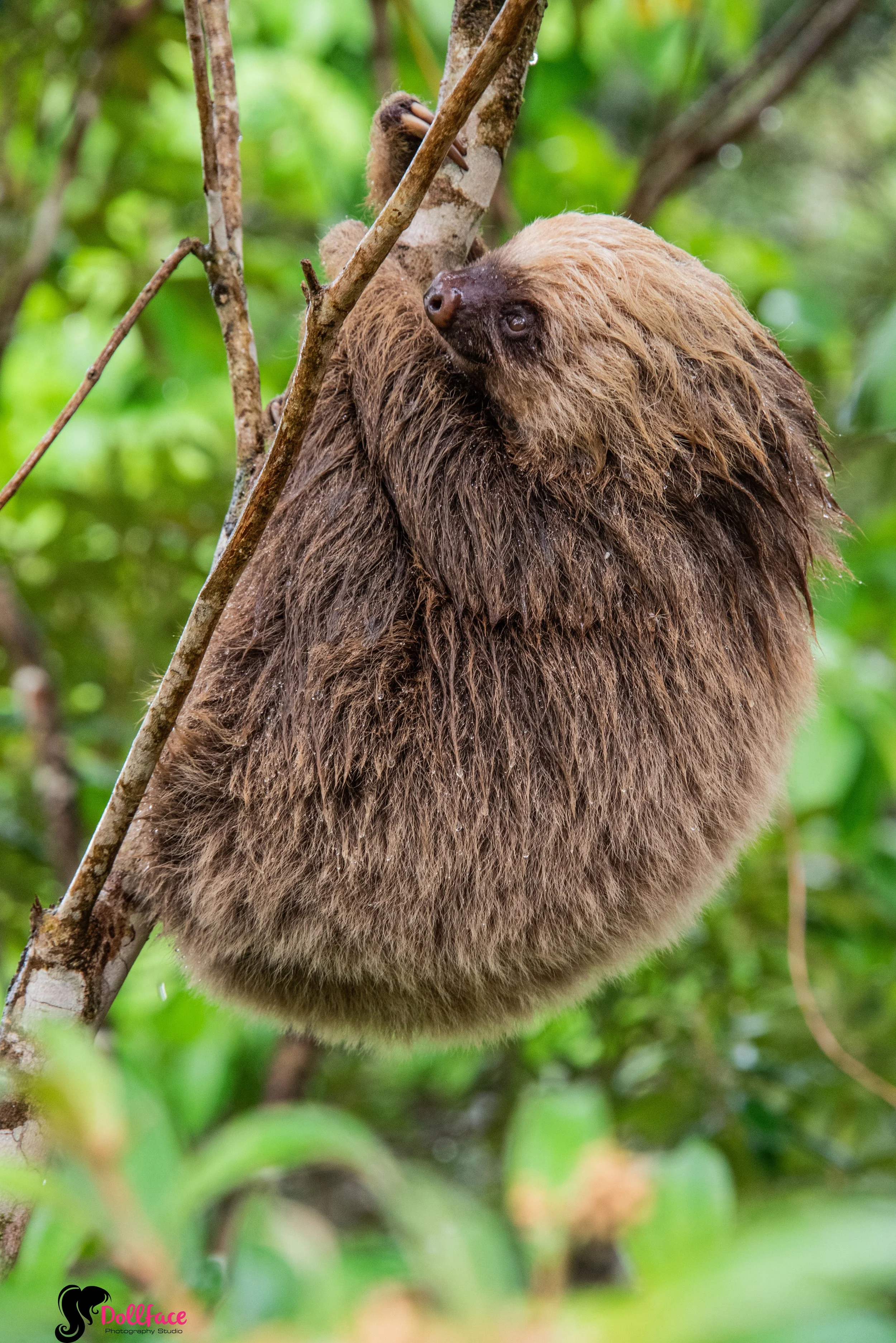 costa rica photography by lorraine toth - NY photographer who travels