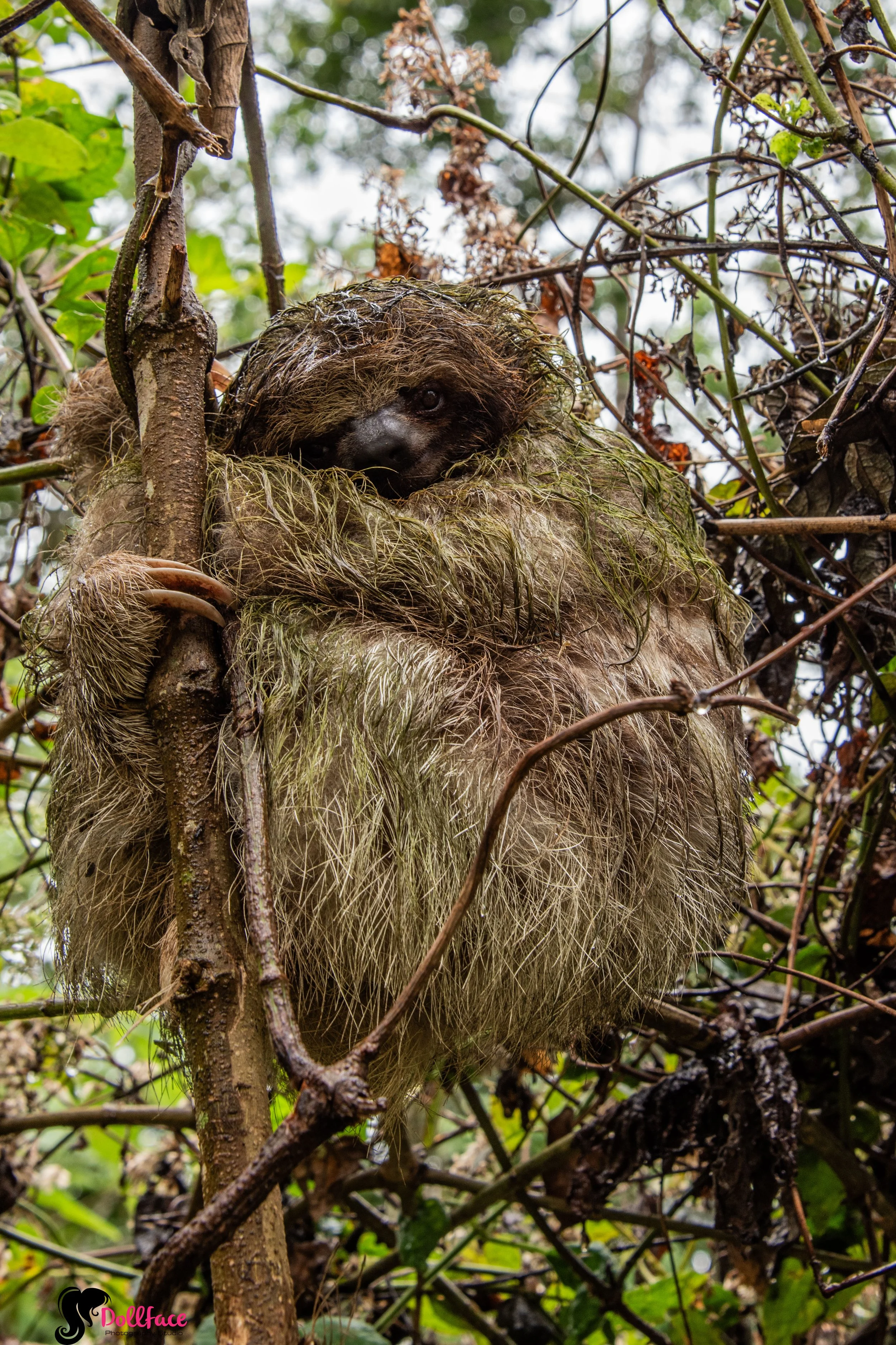 costa rica photography by lorraine toth - NY photographer who travels