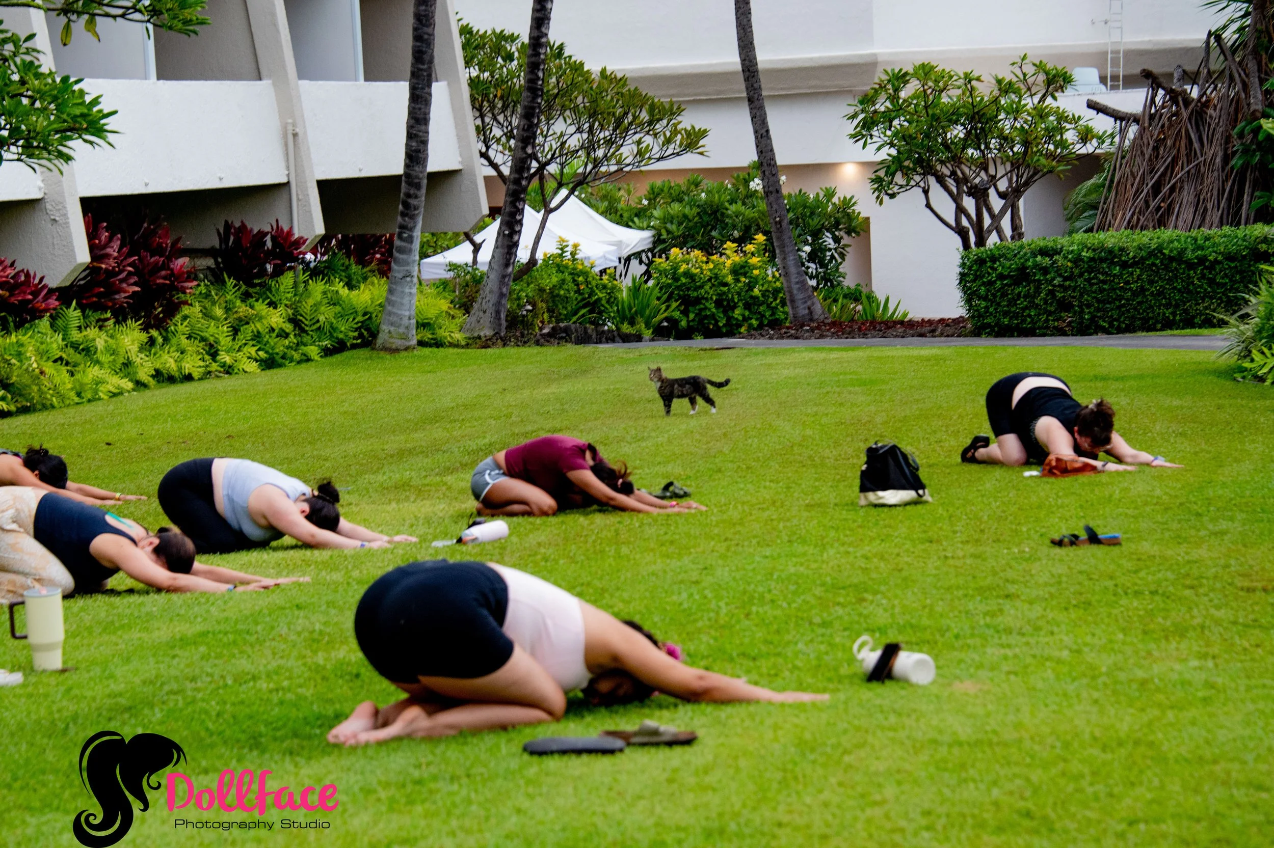Hawaii web examples-14.jpg