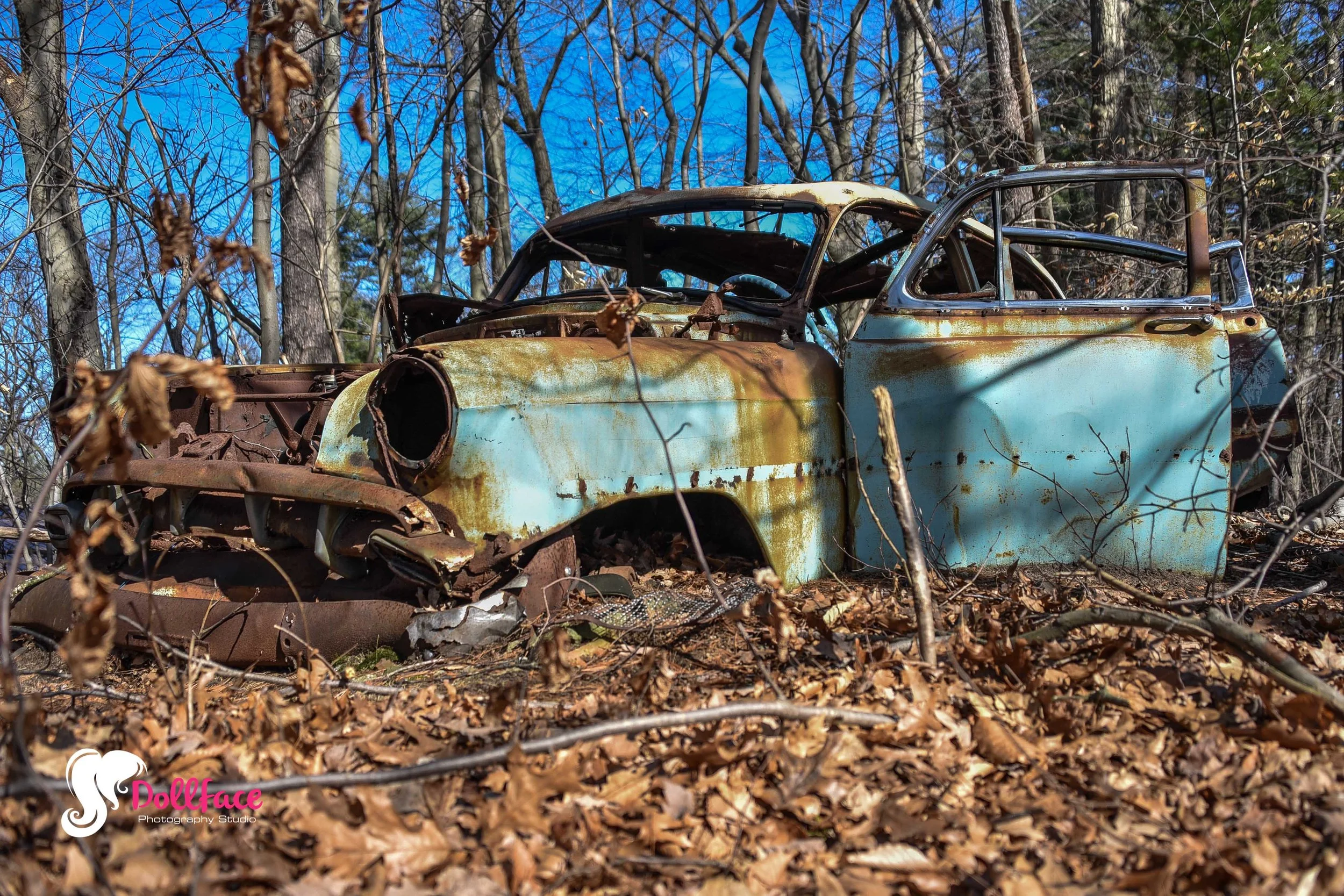 DSC_1354.jpg