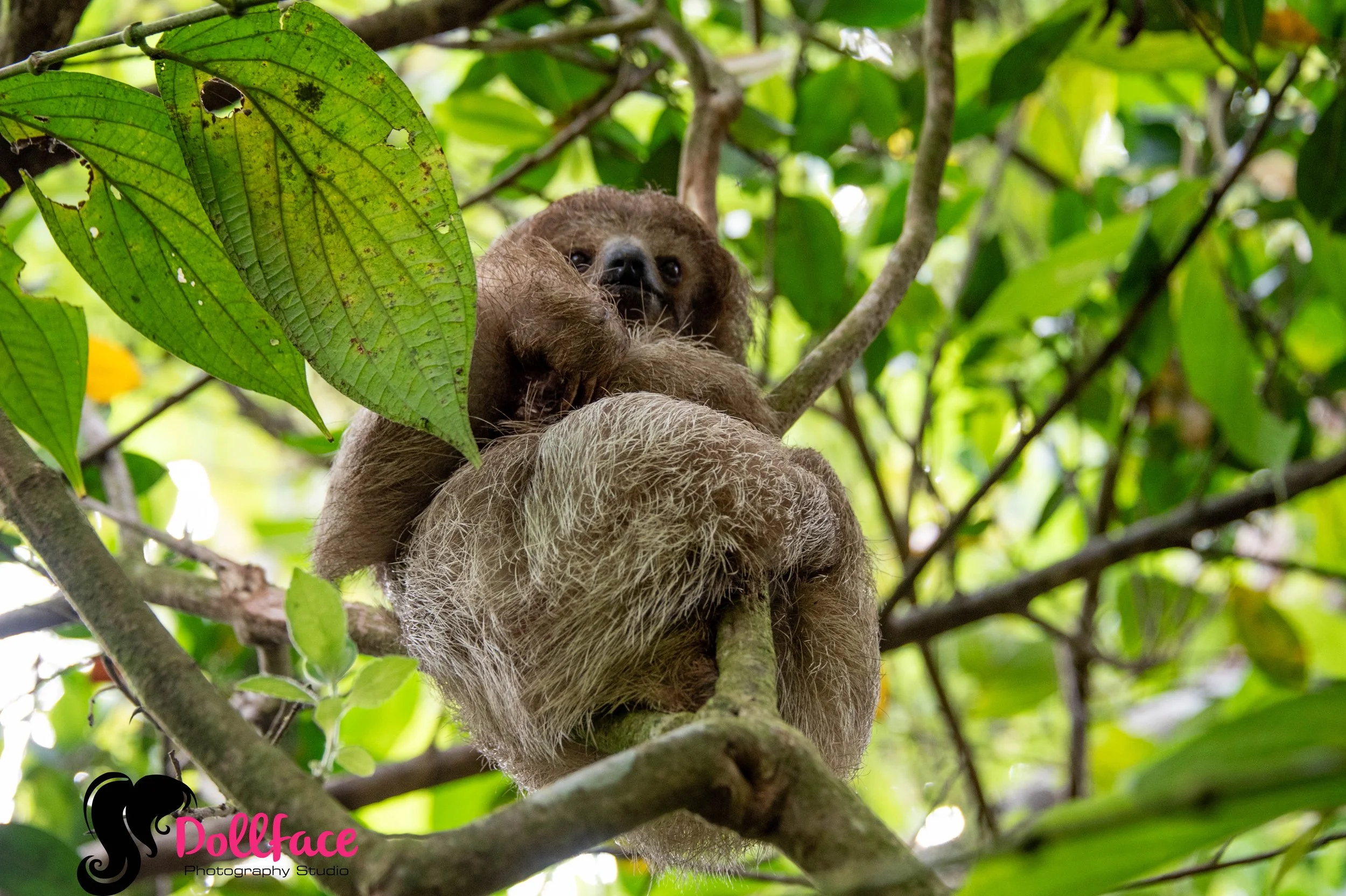 Rainforest 4_2026-16.jpg