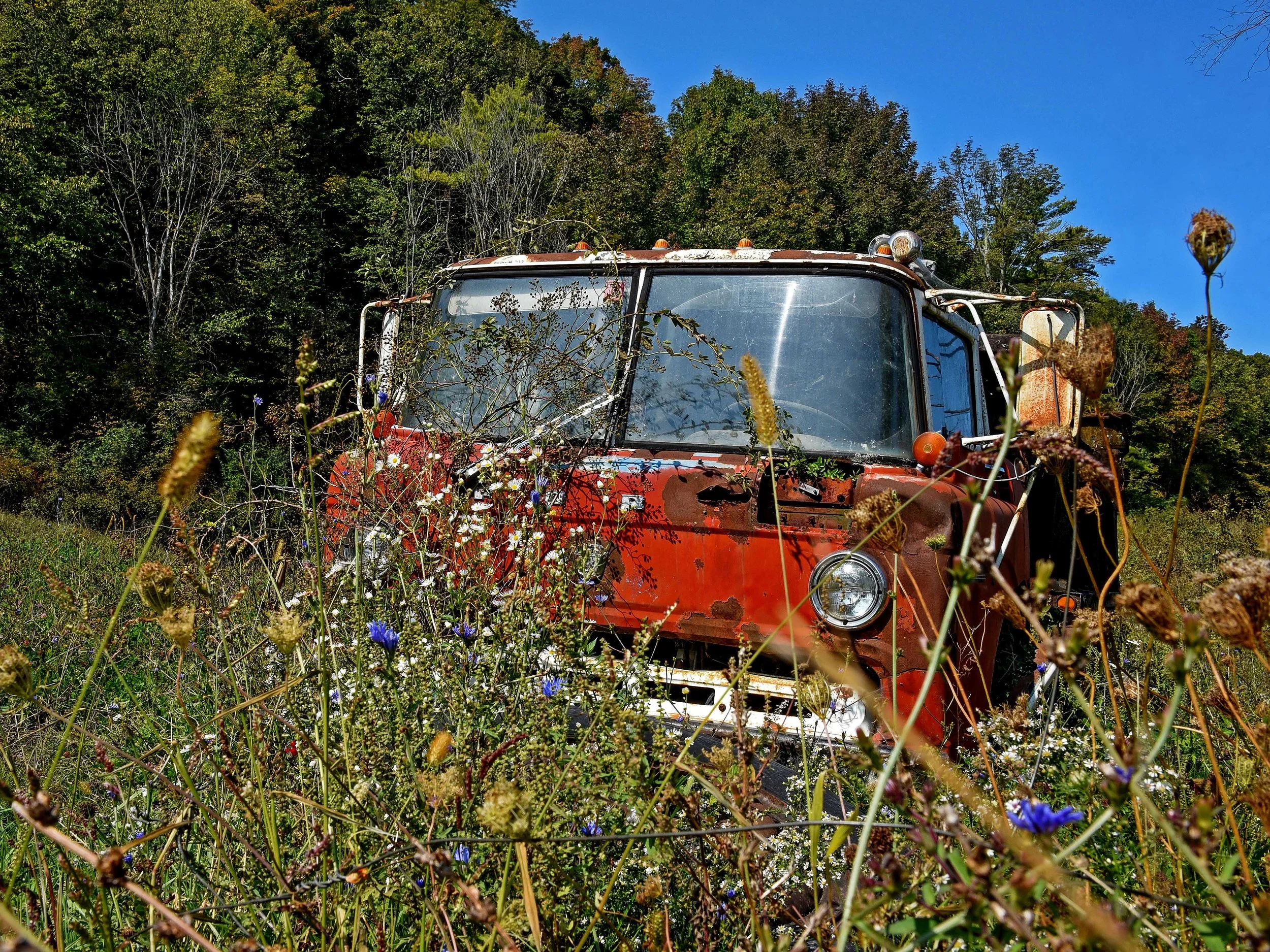 web 18 x24 Red Truck in Field HR.jpg