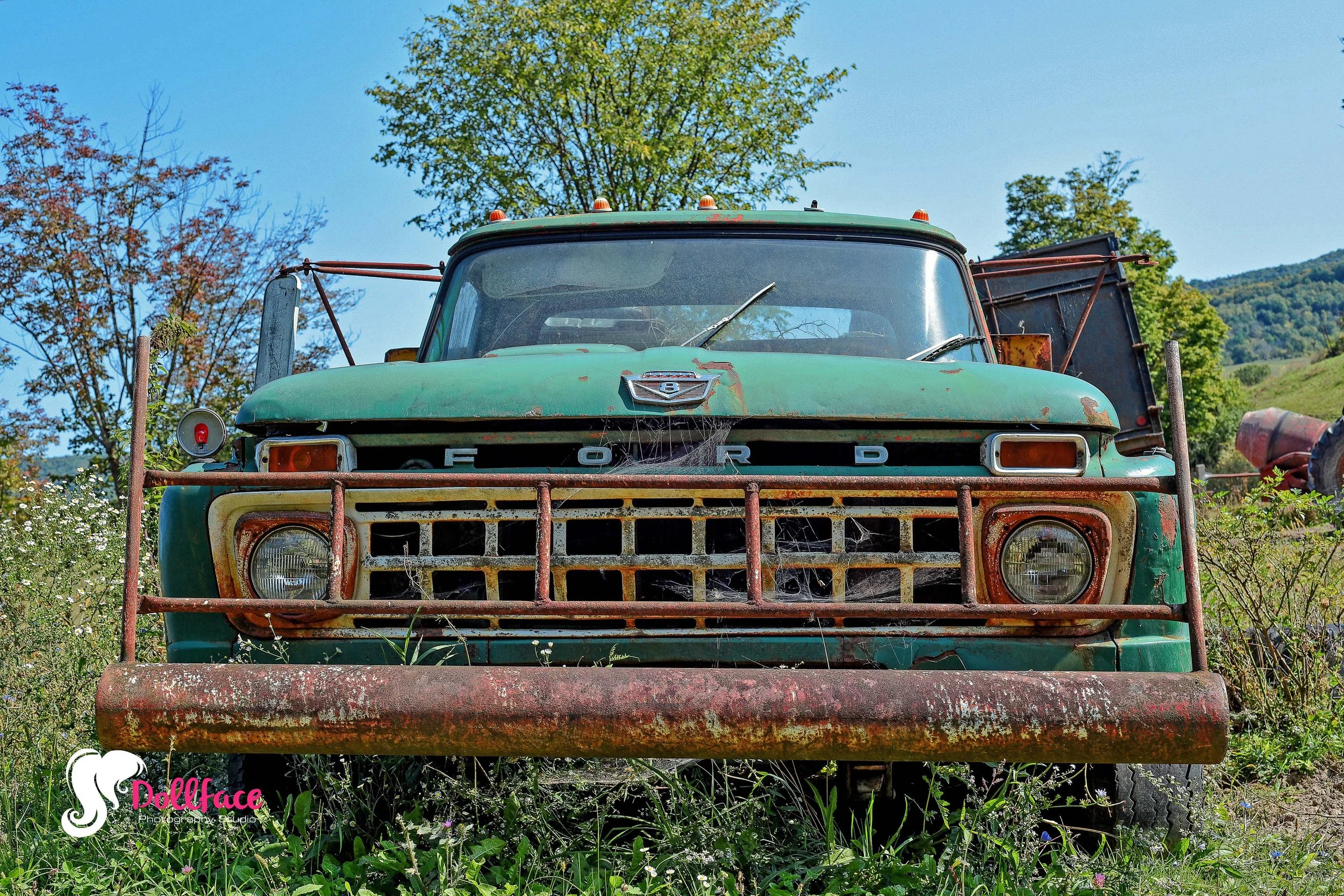 web FORD_8202 (1)-2.jpg