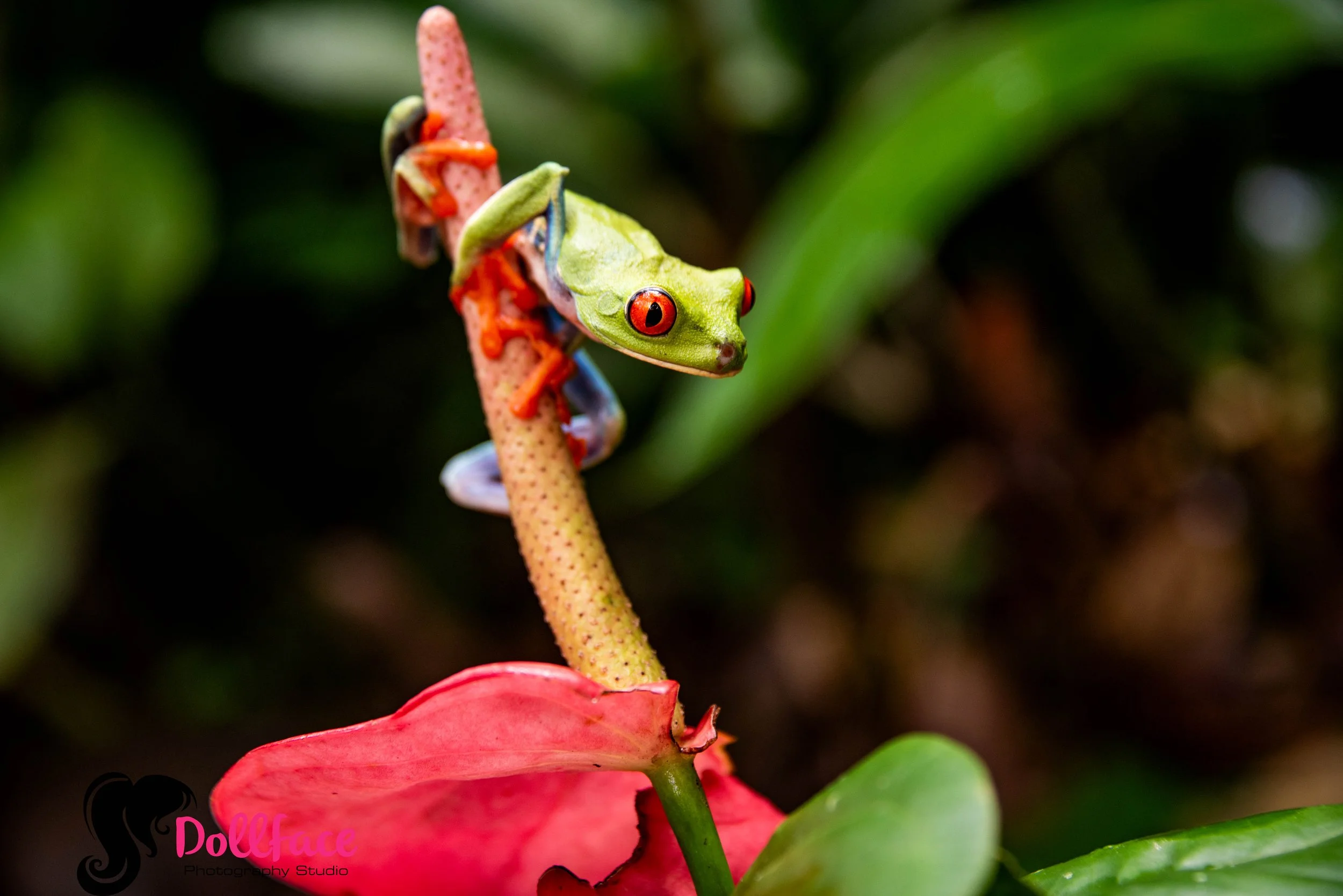 web gallery-3.jpg