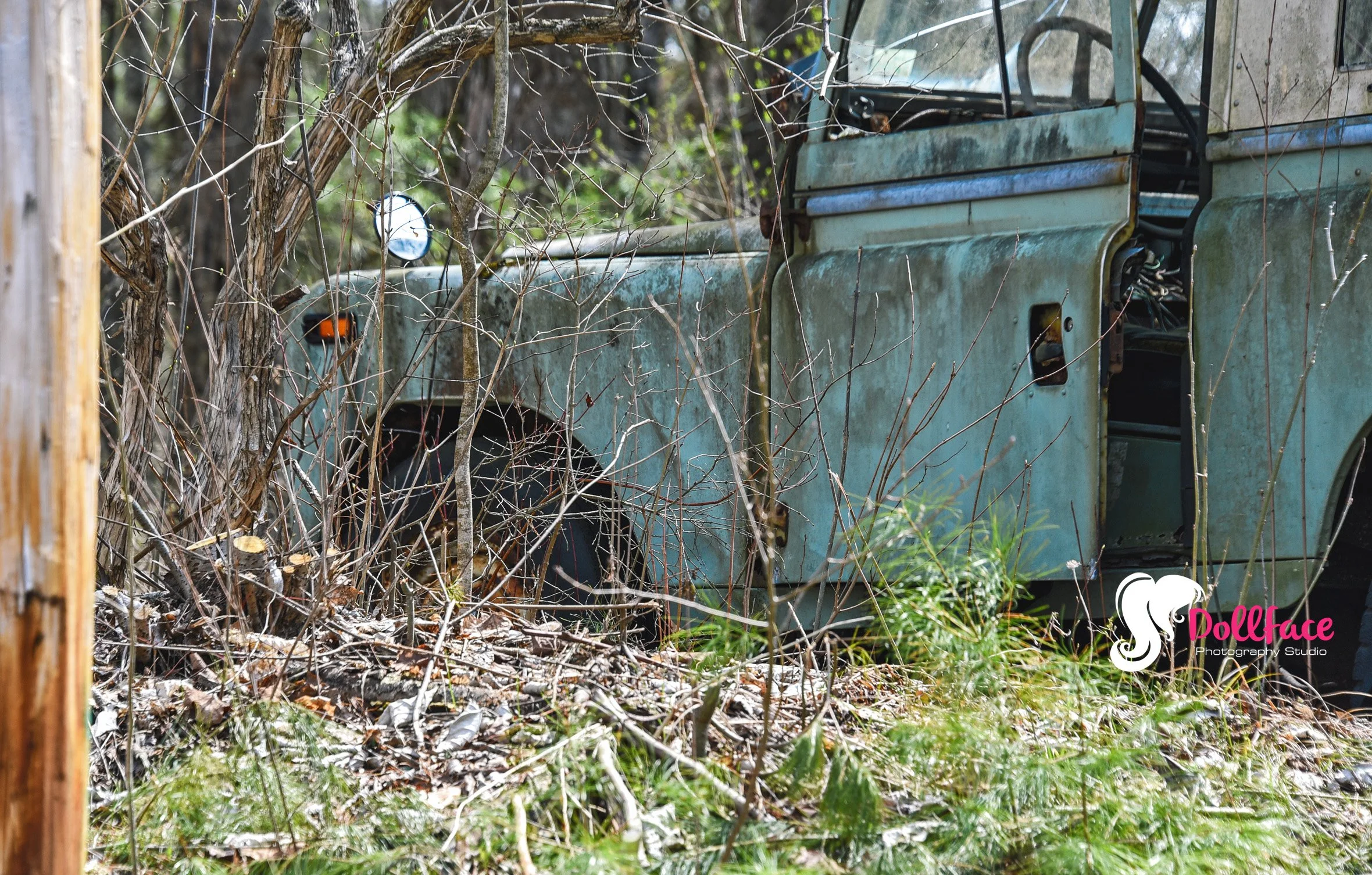 web_DSC_5004.jpg