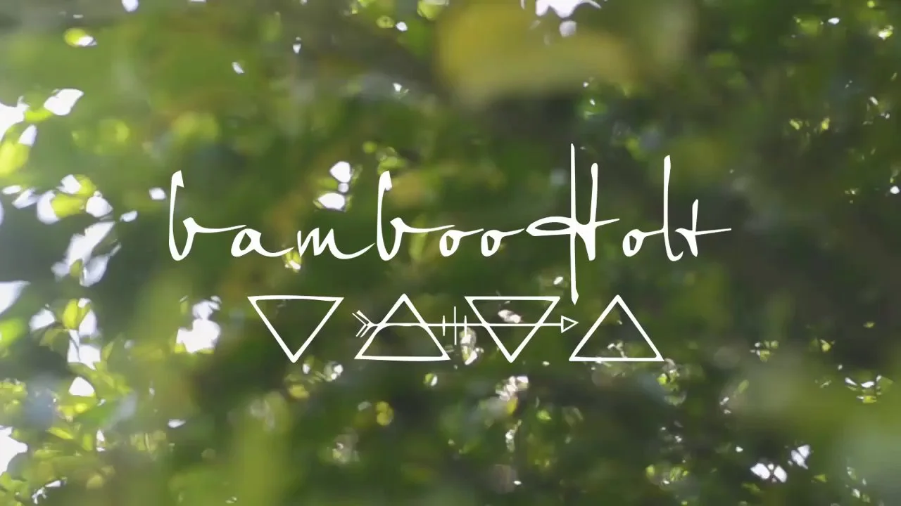 Bamboo Holt.  Born Into Wild Color