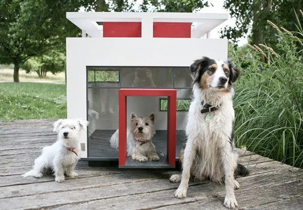 picture from freshome.com