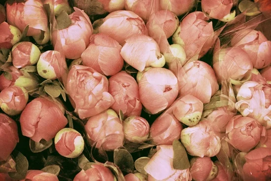 New Covent Garden Flower Market
