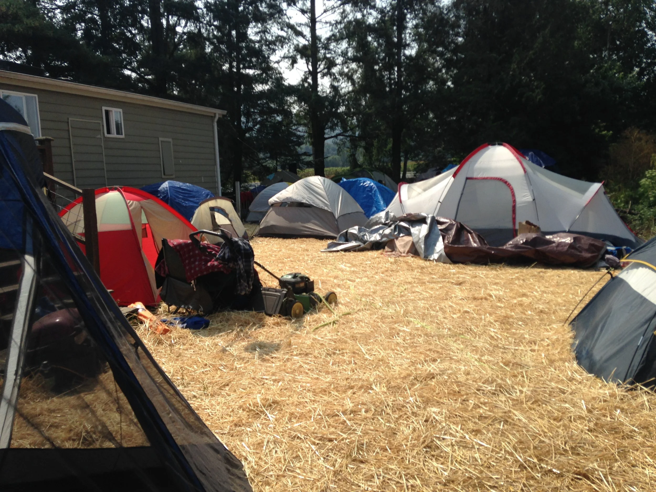 A few of the donated tents set up for farmworkers in "Zapata Camp" — Lucy and Joaquin Suarez's backyard about a mile from Sarbanand Farms.