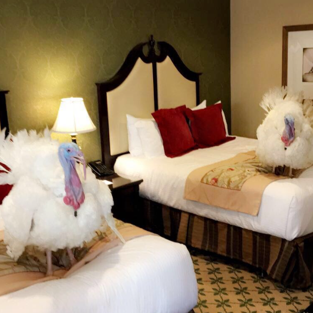 Awaiting pardon at a DC hotel.